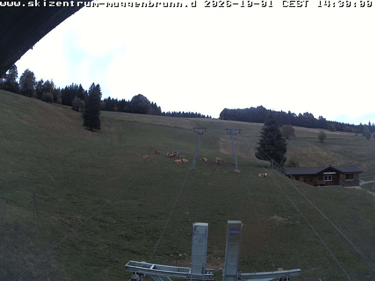 Archiv Foto Webcam am Winkellift Muggenbrunn