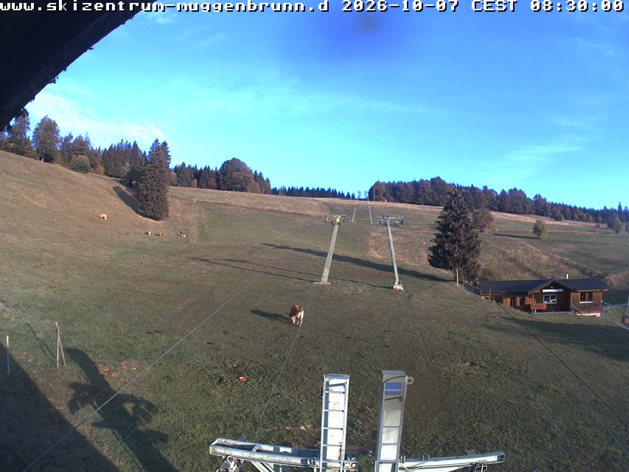 Archiv Foto Webcam am Winkellift Muggenbrunn