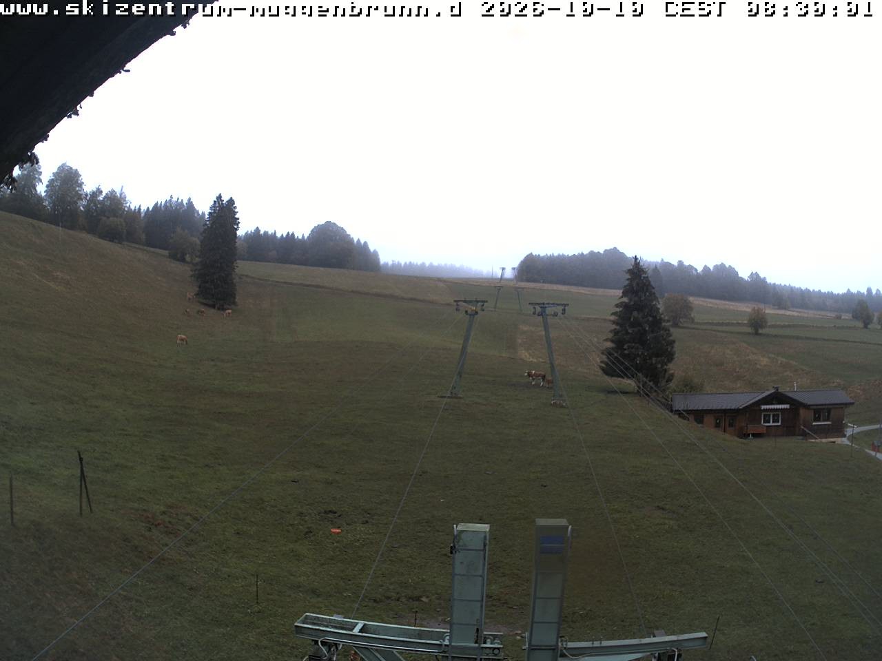 Archiv Foto Webcam am Winkellift Muggenbrunn