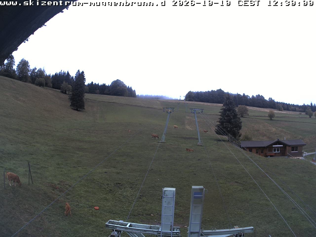 Archiv Foto Webcam am Winkellift Muggenbrunn