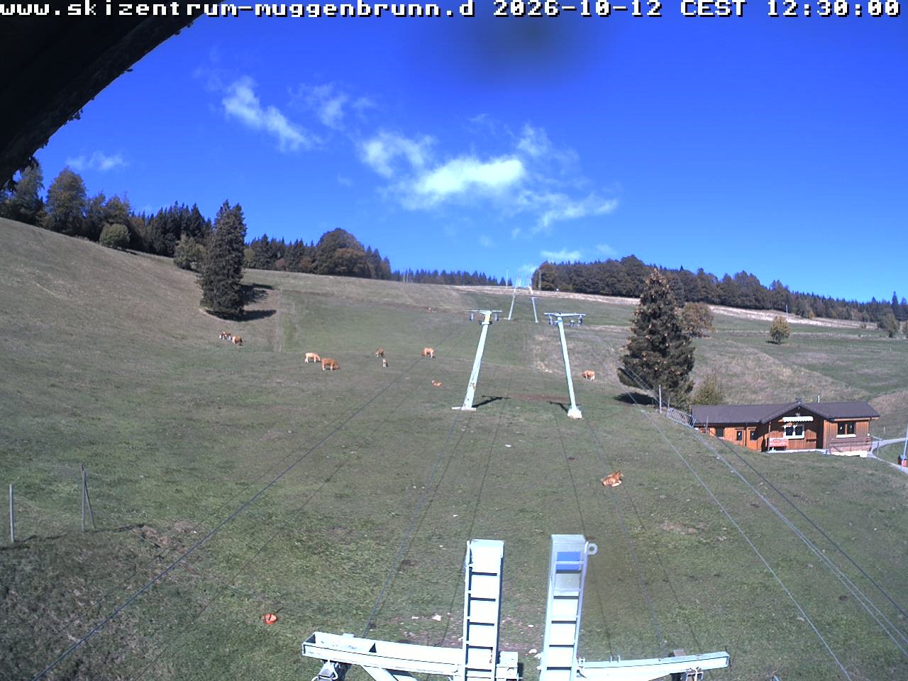 Archiv Foto Webcam am Winkellift Muggenbrunn