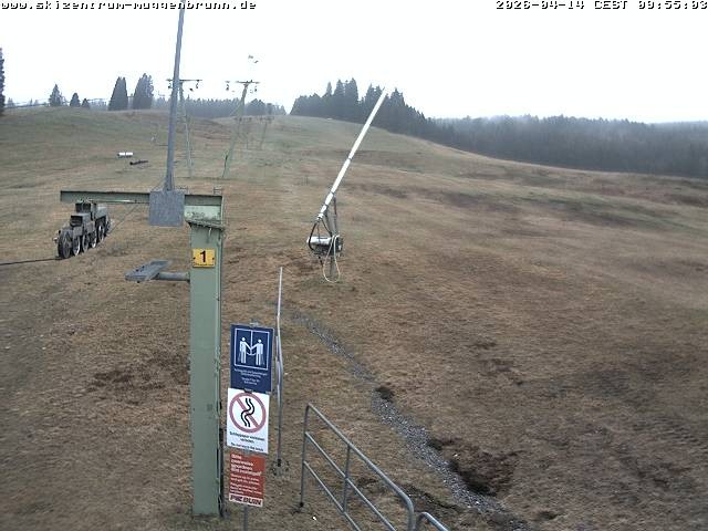 Archiv Foto Webcam Blick auf den Wasenlift bei Muggenbrunn