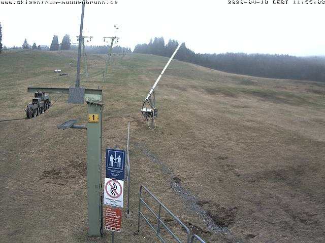 Archiv Foto Webcam Blick auf den Wasenlift bei Muggenbrunn