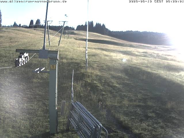 Archiv Foto Webcam Blick auf den Wasenlift bei Muggenbrunn