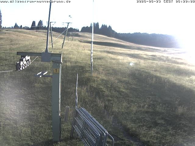 Archiv Foto Webcam Blick auf den Wasenlift bei Muggenbrunn