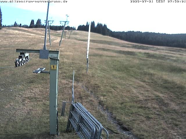 Archiv Foto Webcam Blick auf den Wasenlift bei Muggenbrunn