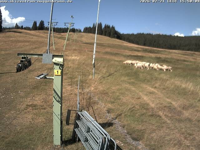 Archiv Foto Webcam Blick auf den Wasenlift bei Muggenbrunn