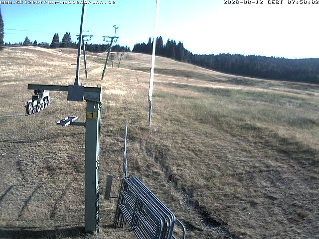Archiv Foto Webcam Blick auf den Wasenlift bei Muggenbrunn