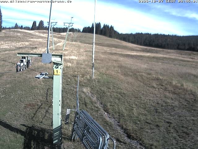 Archiv Foto Webcam Blick auf den Wasenlift bei Muggenbrunn
