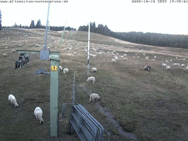 Archiv Foto Webcam Blick auf den Wasenlift bei Muggenbrunn