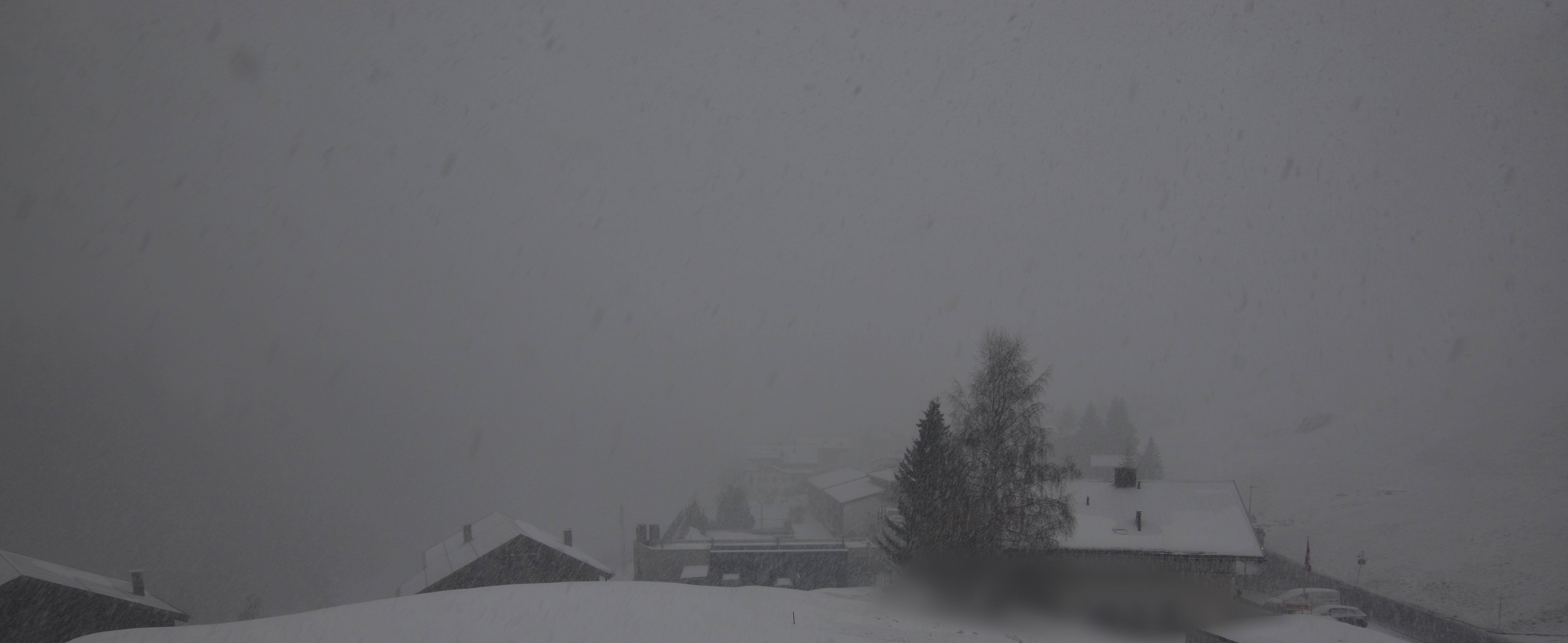 Archiv Foto Webcam Compatsch, 1.700m