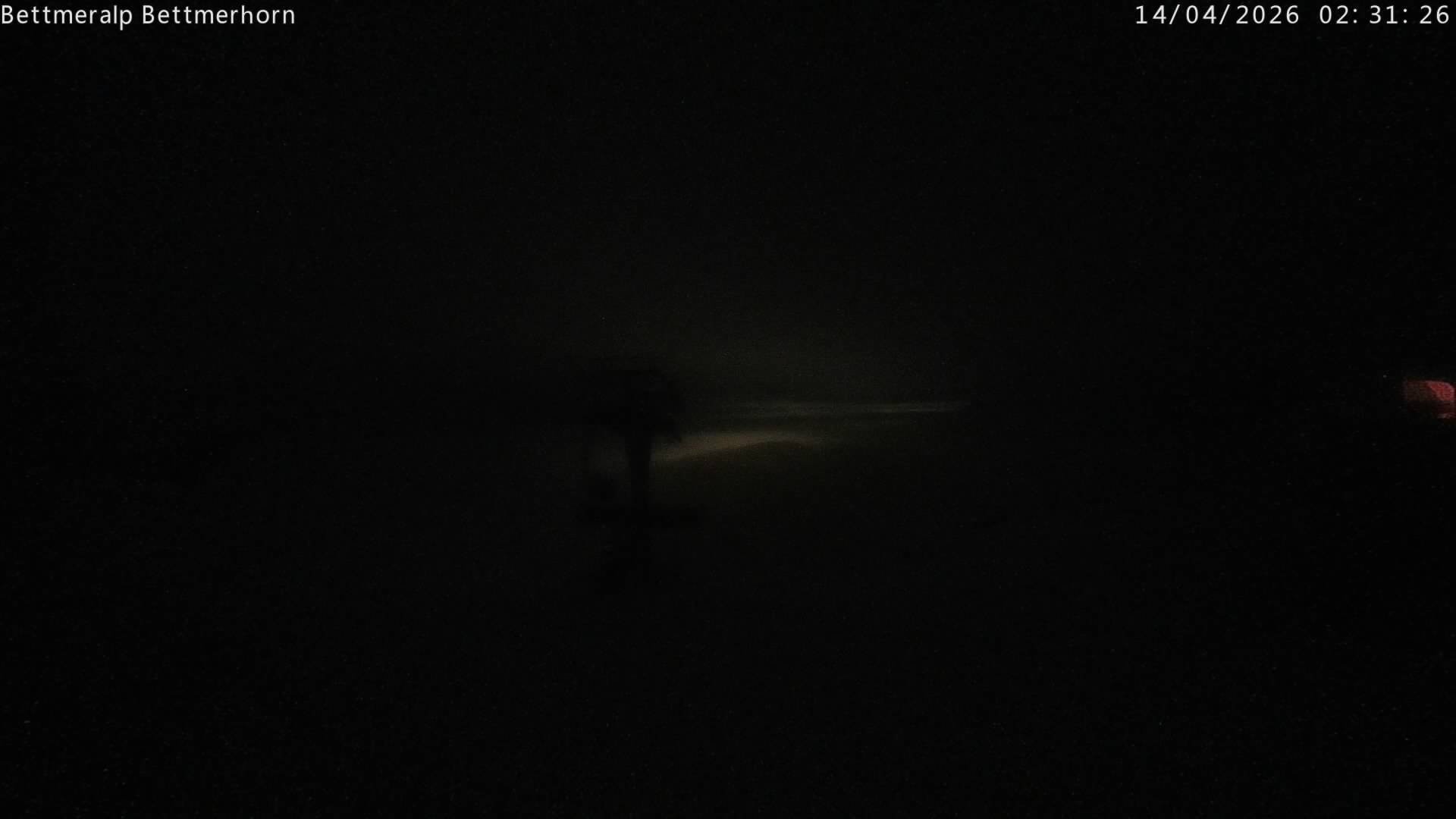 Archived image Webcam Aletsch Arena: Bettmerhorn