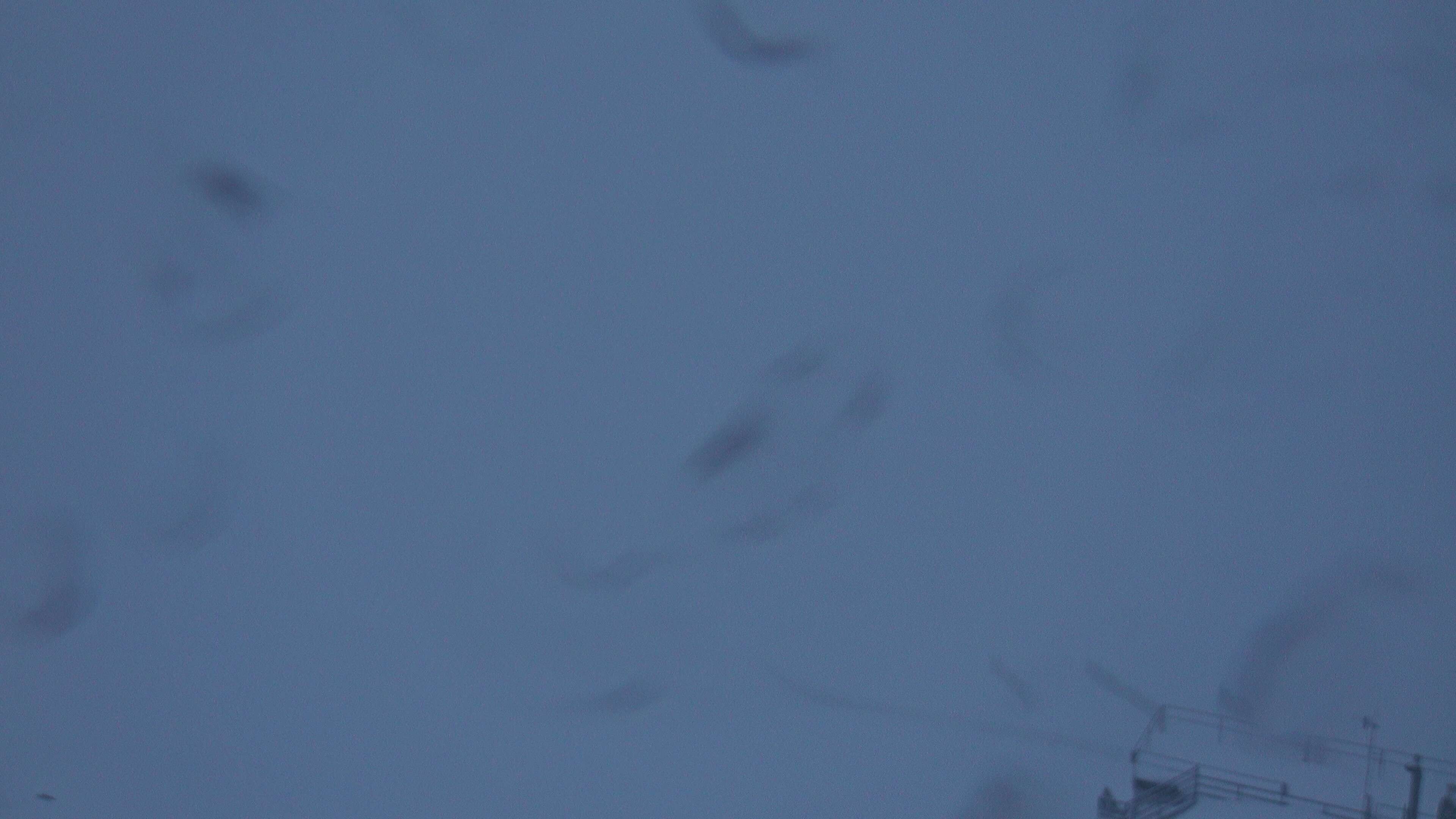 Archiv Foto Webcam Davos Klosters: Parsenn Weissfluhjoch