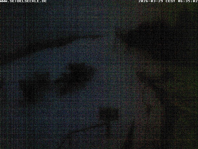 Archiv Foto Webcam Skigebiet Seibelseckle
