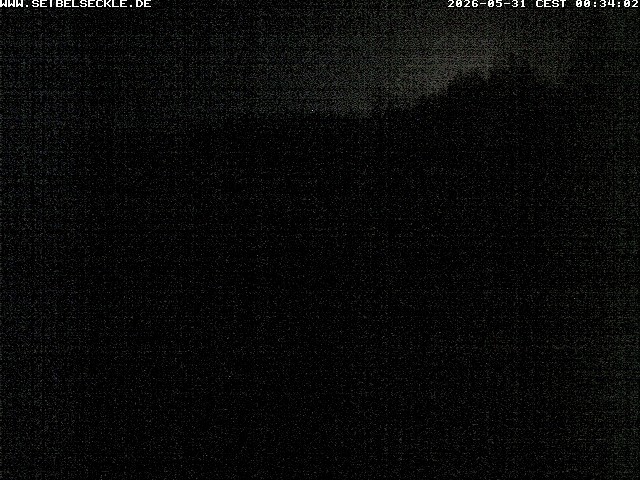 Archived image Webcam view ski resort seibelseckle