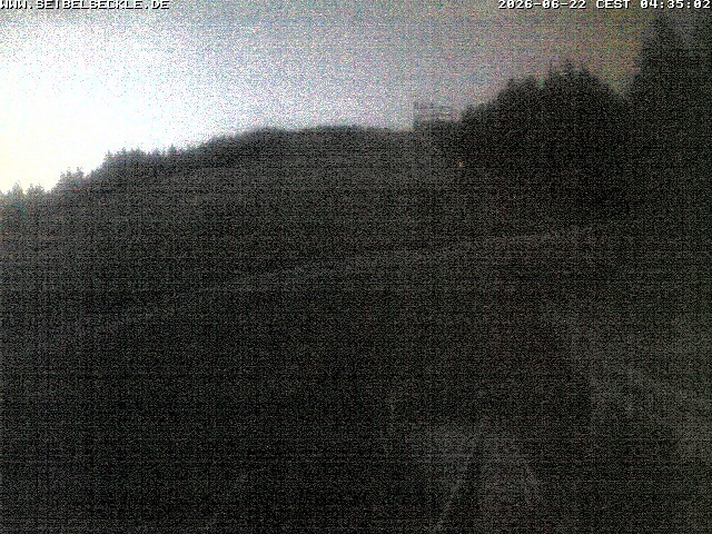 Archiv Foto Webcam Skigebiet Seibelseckle