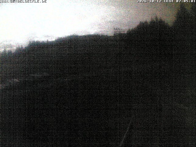 Archiv Foto Webcam Skigebiet Seibelseckle