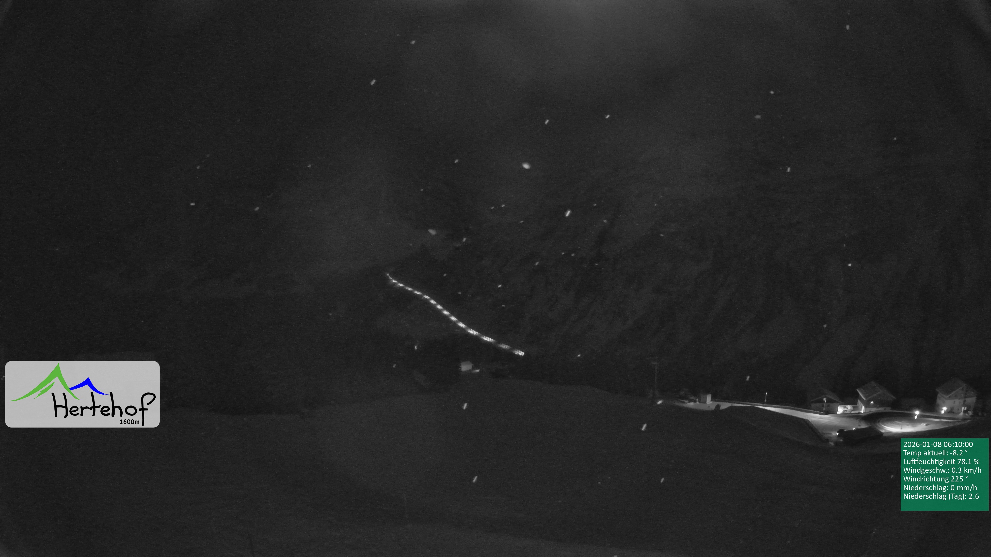 Archiv Foto Webcam Damüls: Blick vom Hertehof