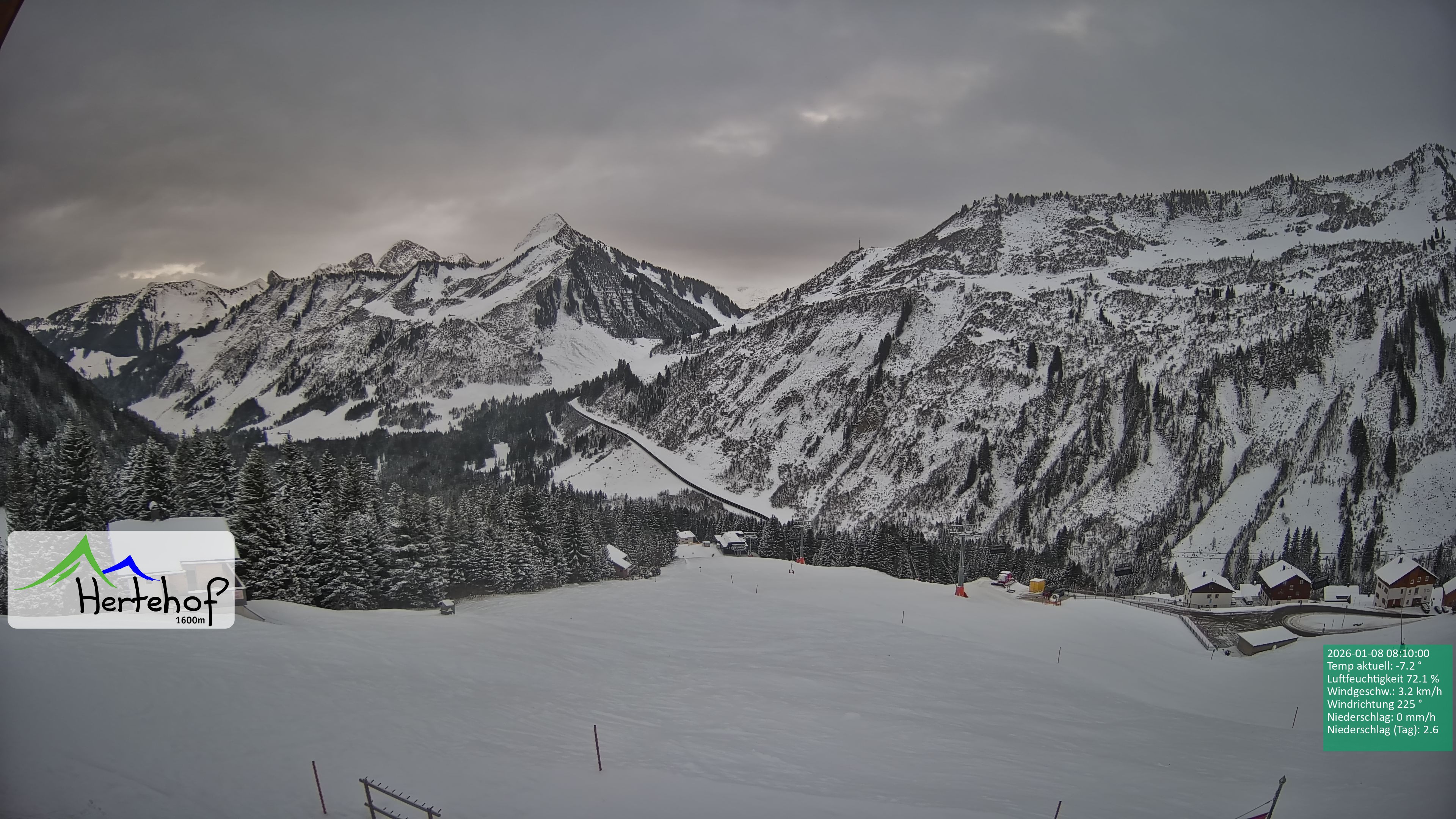 Archiv Foto Webcam Damüls: Blick vom Hertehof