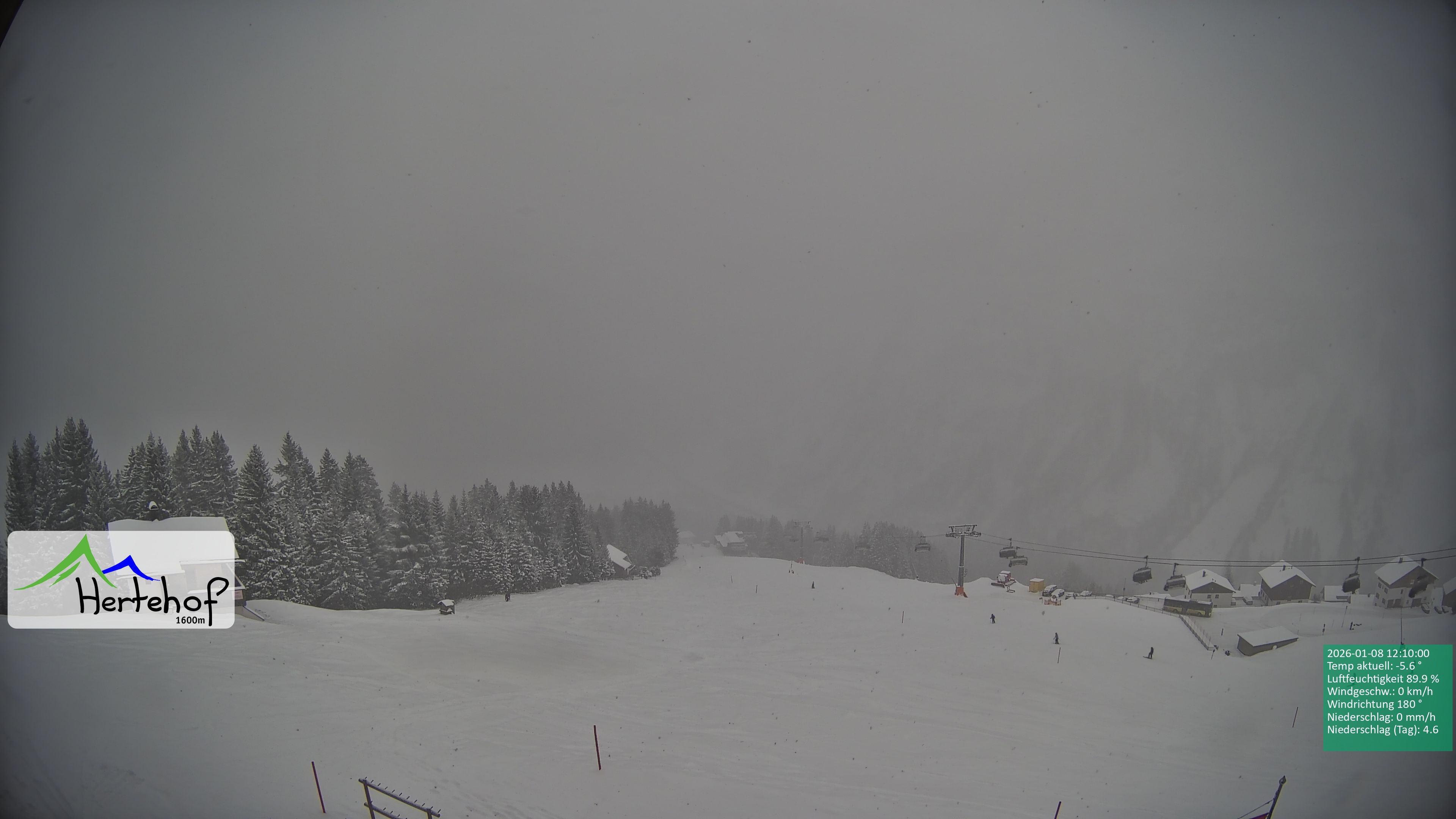 Archiv Foto Webcam Damüls: Blick vom Hertehof