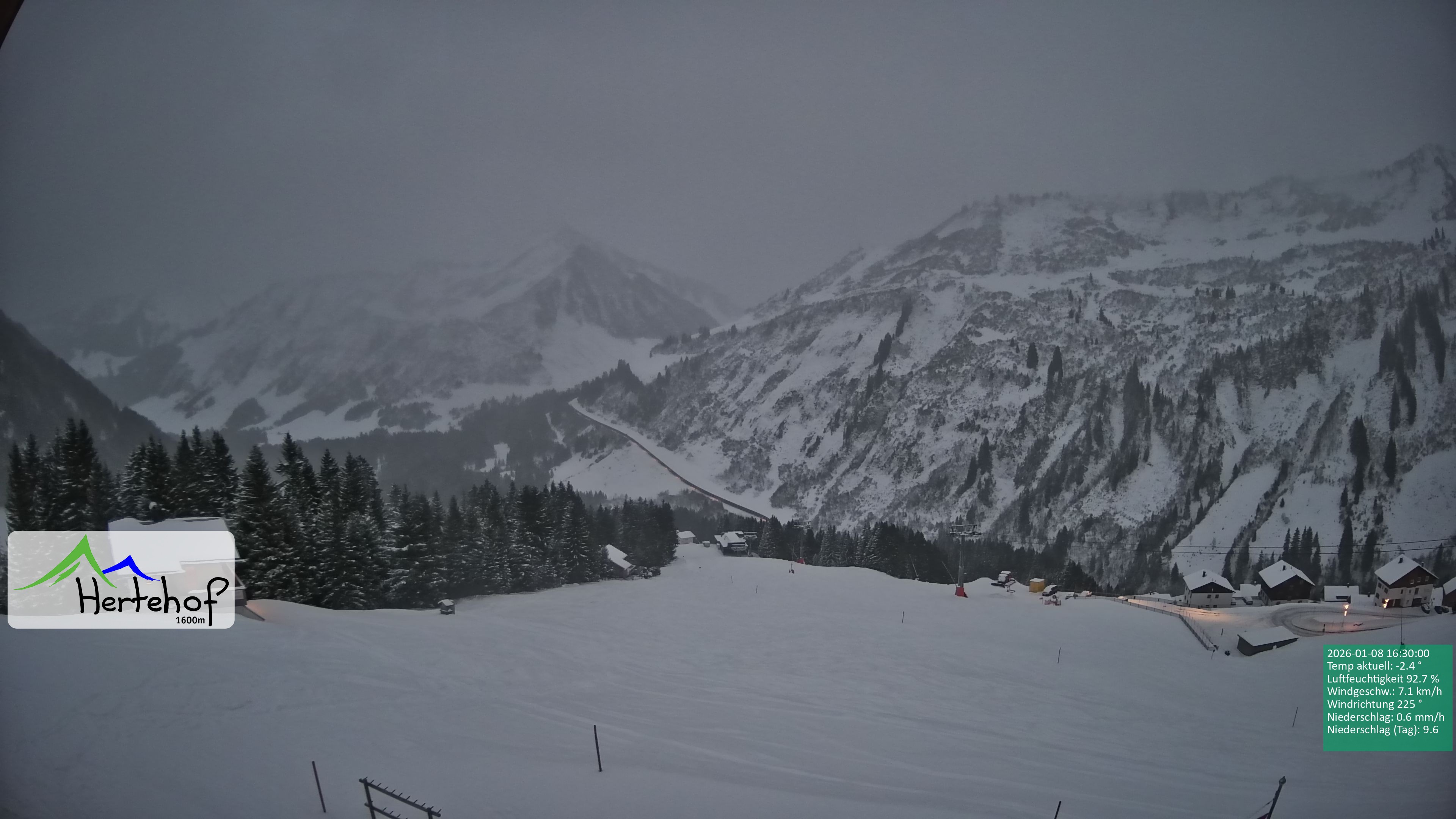 Archiv Foto Webcam Damüls: Blick vom Hertehof