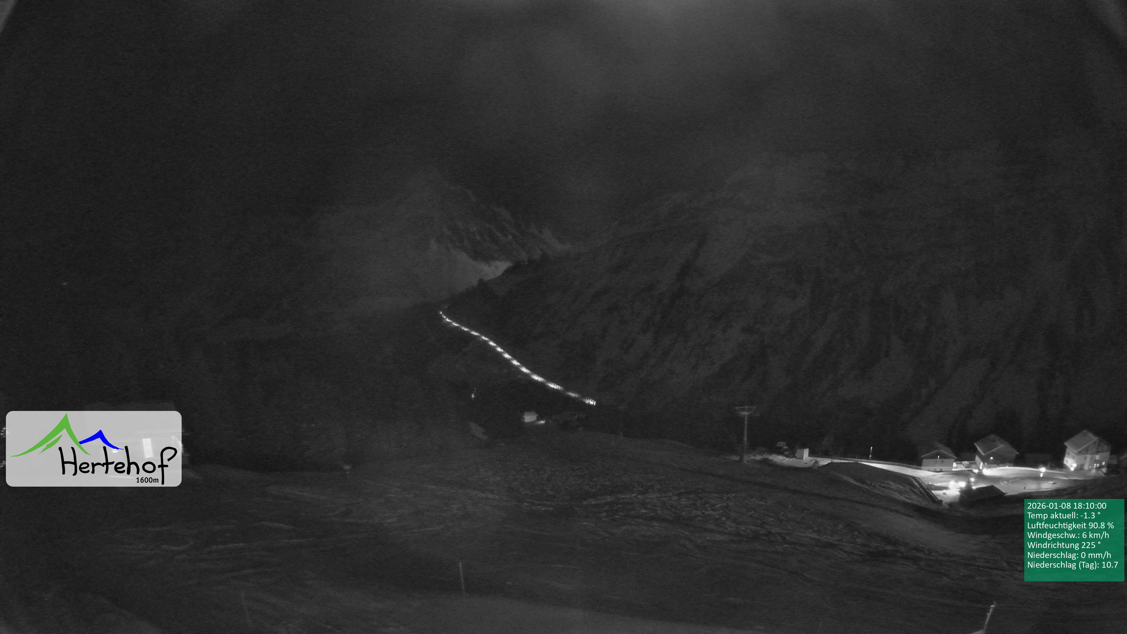 Archiv Foto Webcam Damüls: Blick vom Hertehof