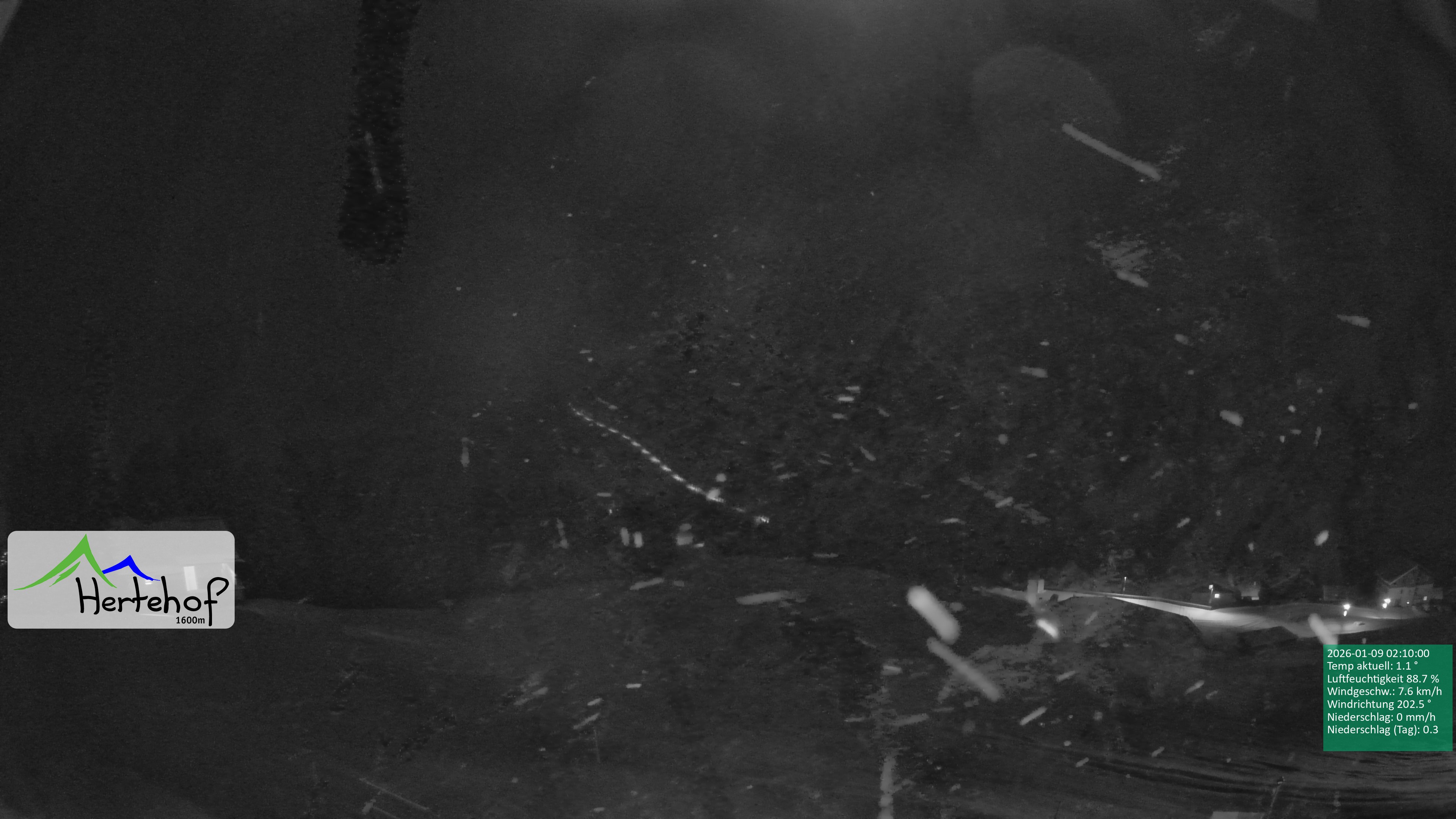 Archiv Foto Webcam Damüls: Blick vom Hertehof