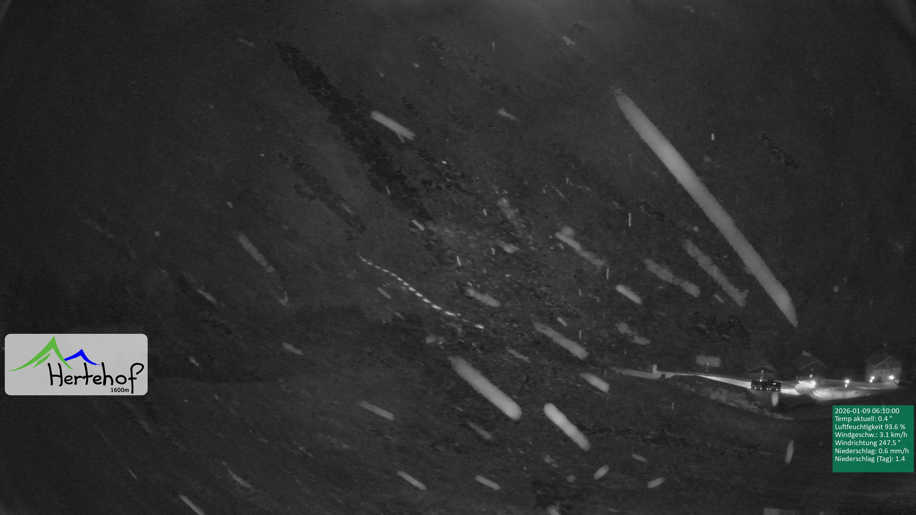 Archiv Foto Webcam Damüls: Blick vom Hertehof