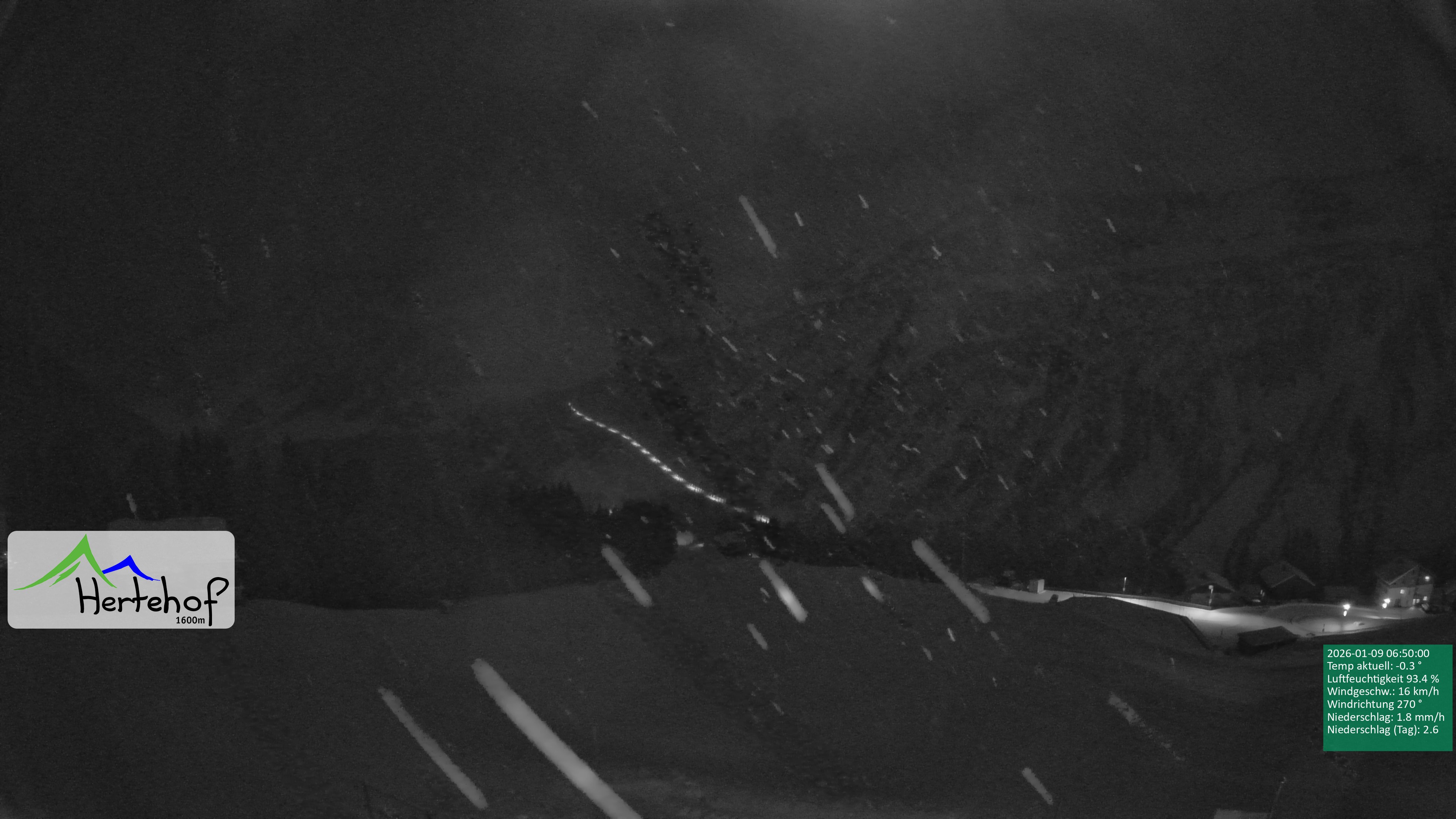 Archiv Foto Webcam Damüls: Blick vom Hertehof