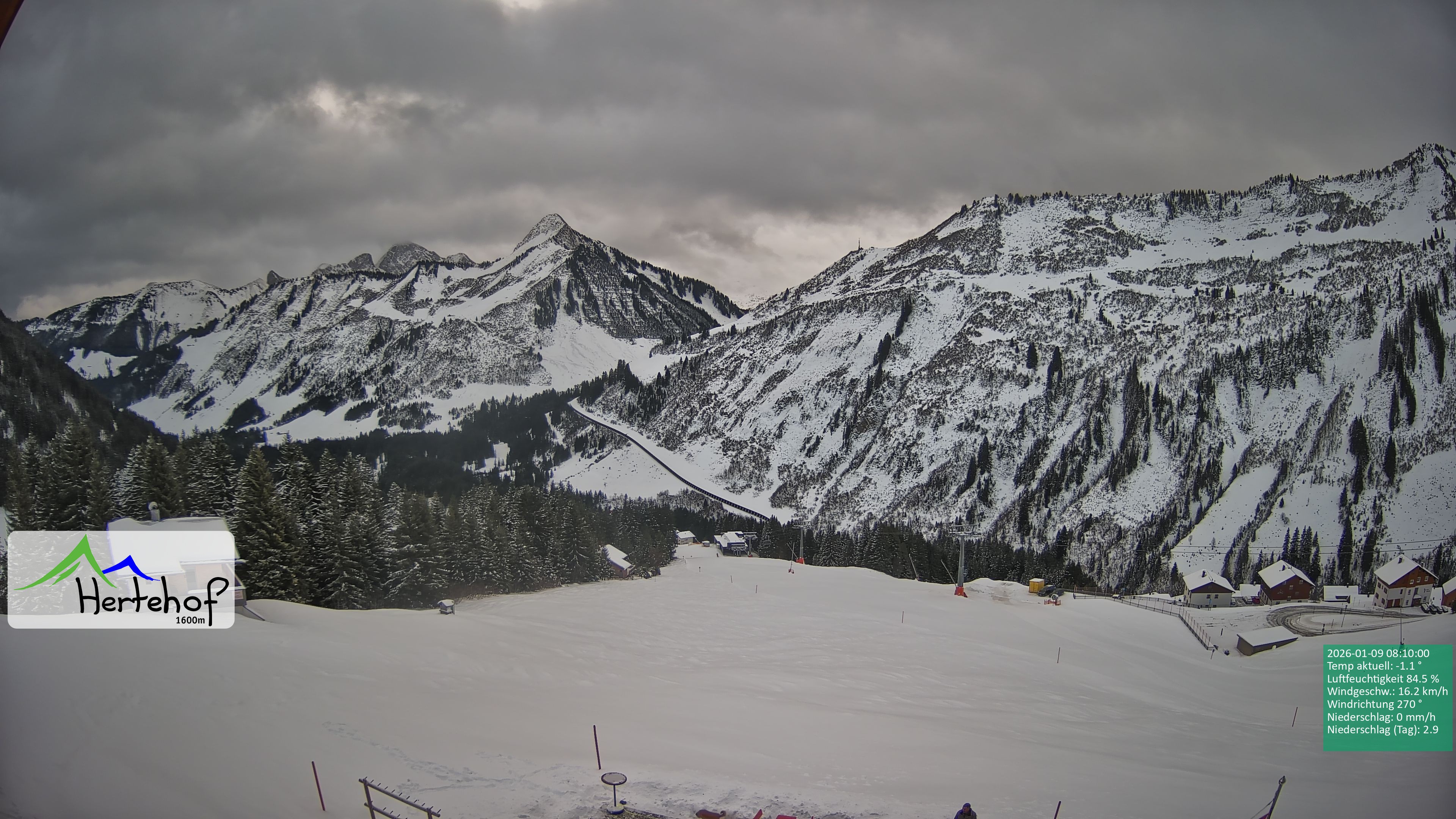 Archiv Foto Webcam Damüls: Blick vom Hertehof