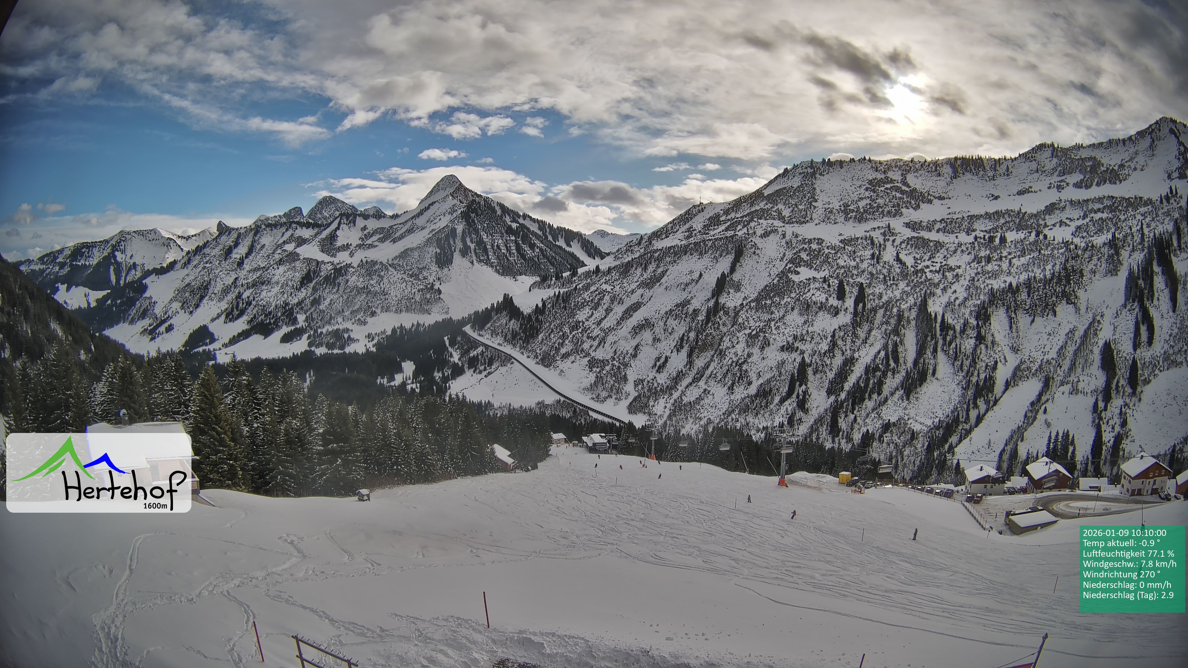 Archiv Foto Webcam Damüls: Blick vom Hertehof