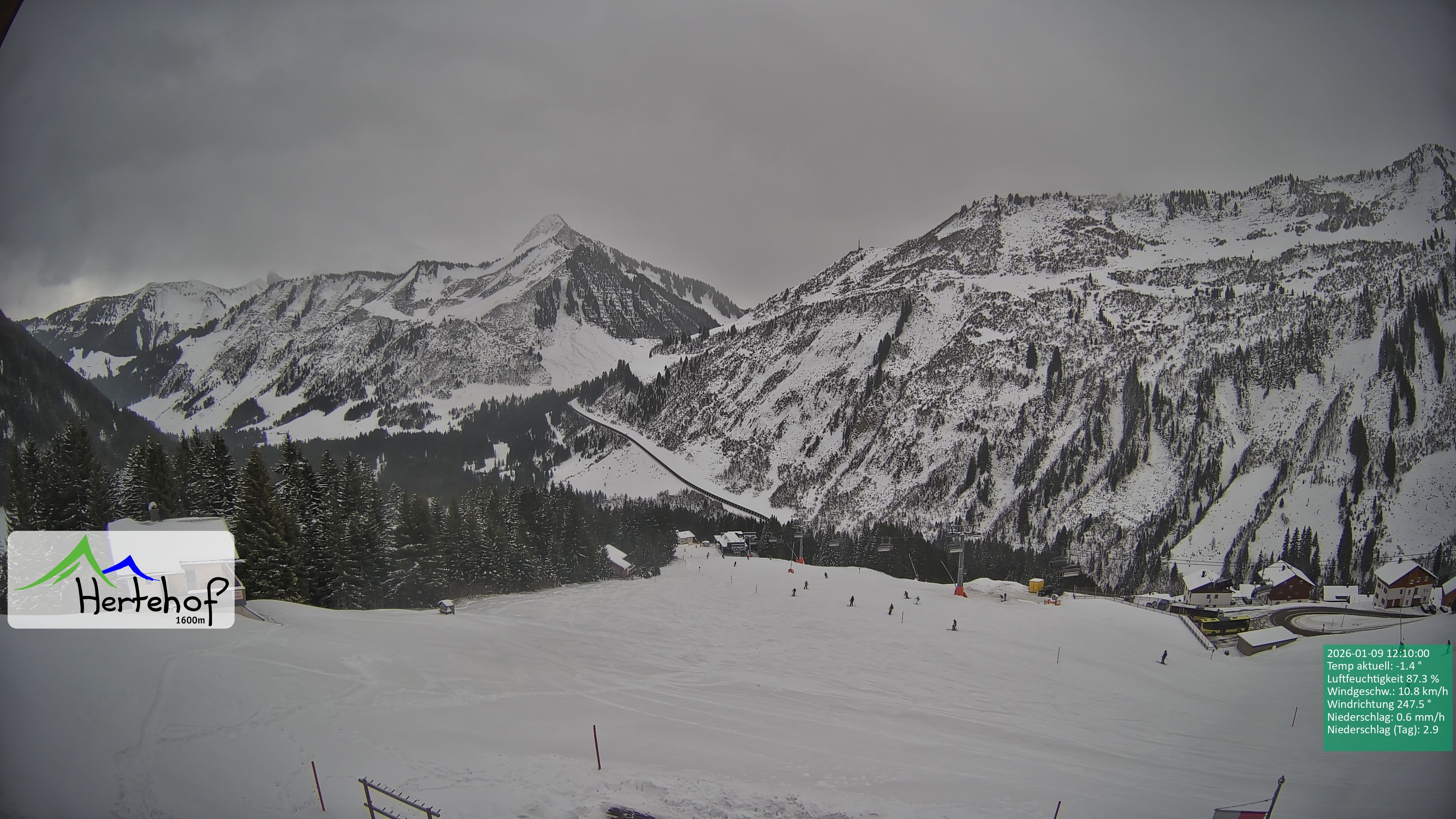 Archiv Foto Webcam Damüls: Blick vom Hertehof