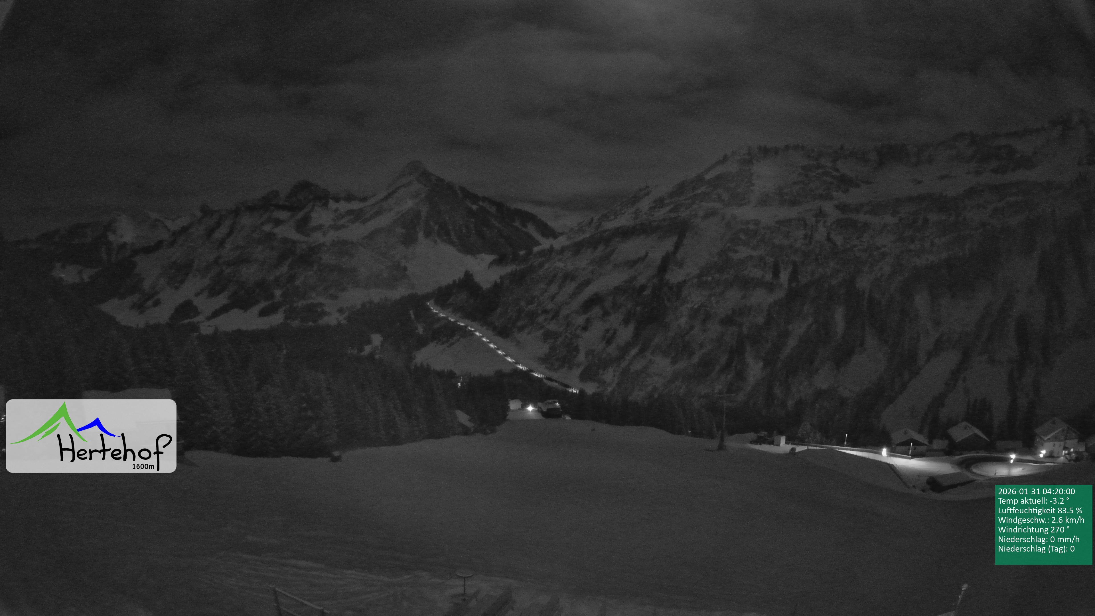 Archiv Foto Webcam Damüls: Blick vom Hertehof