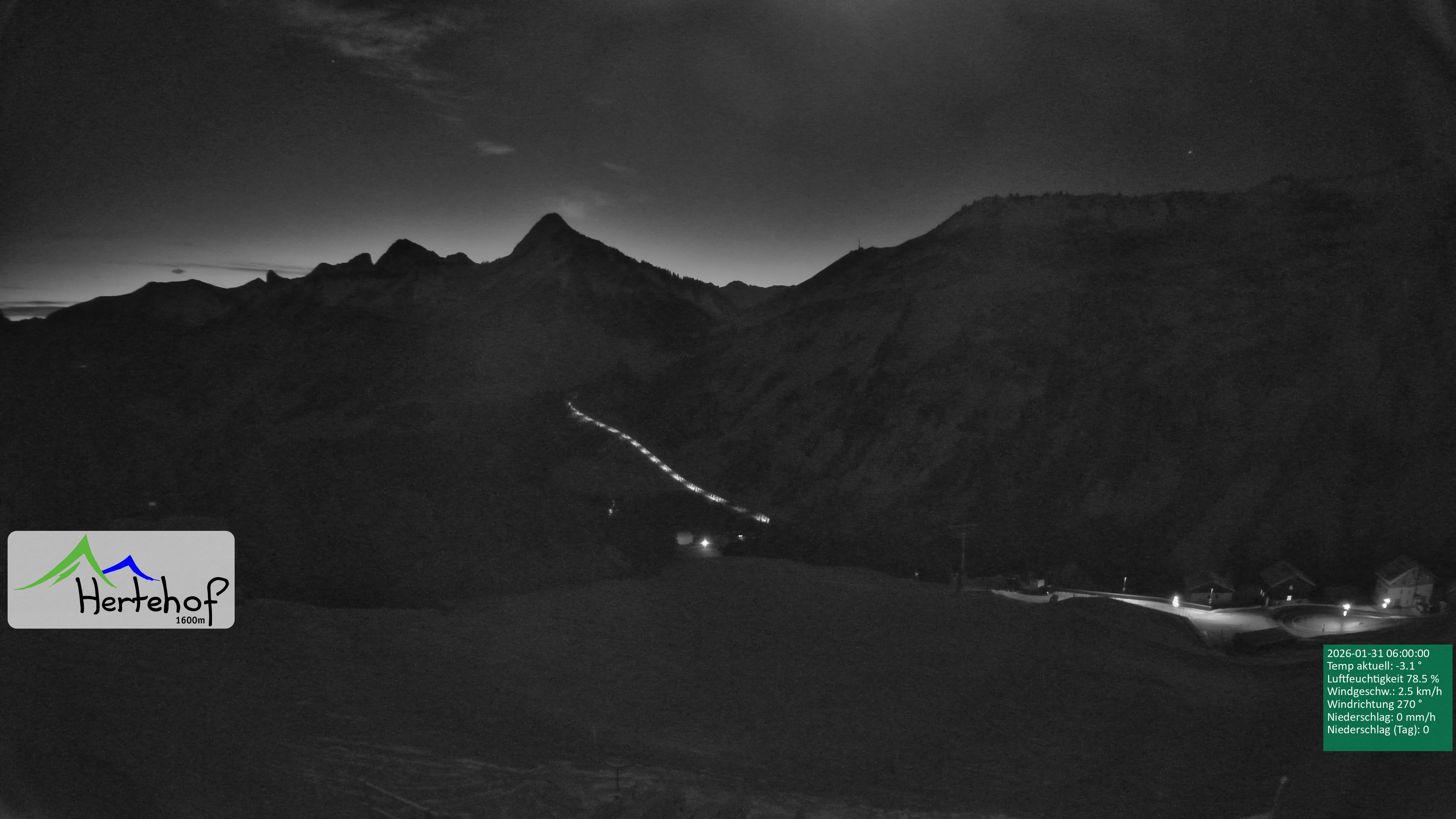 Archiv Foto Webcam Damüls: Blick vom Hertehof