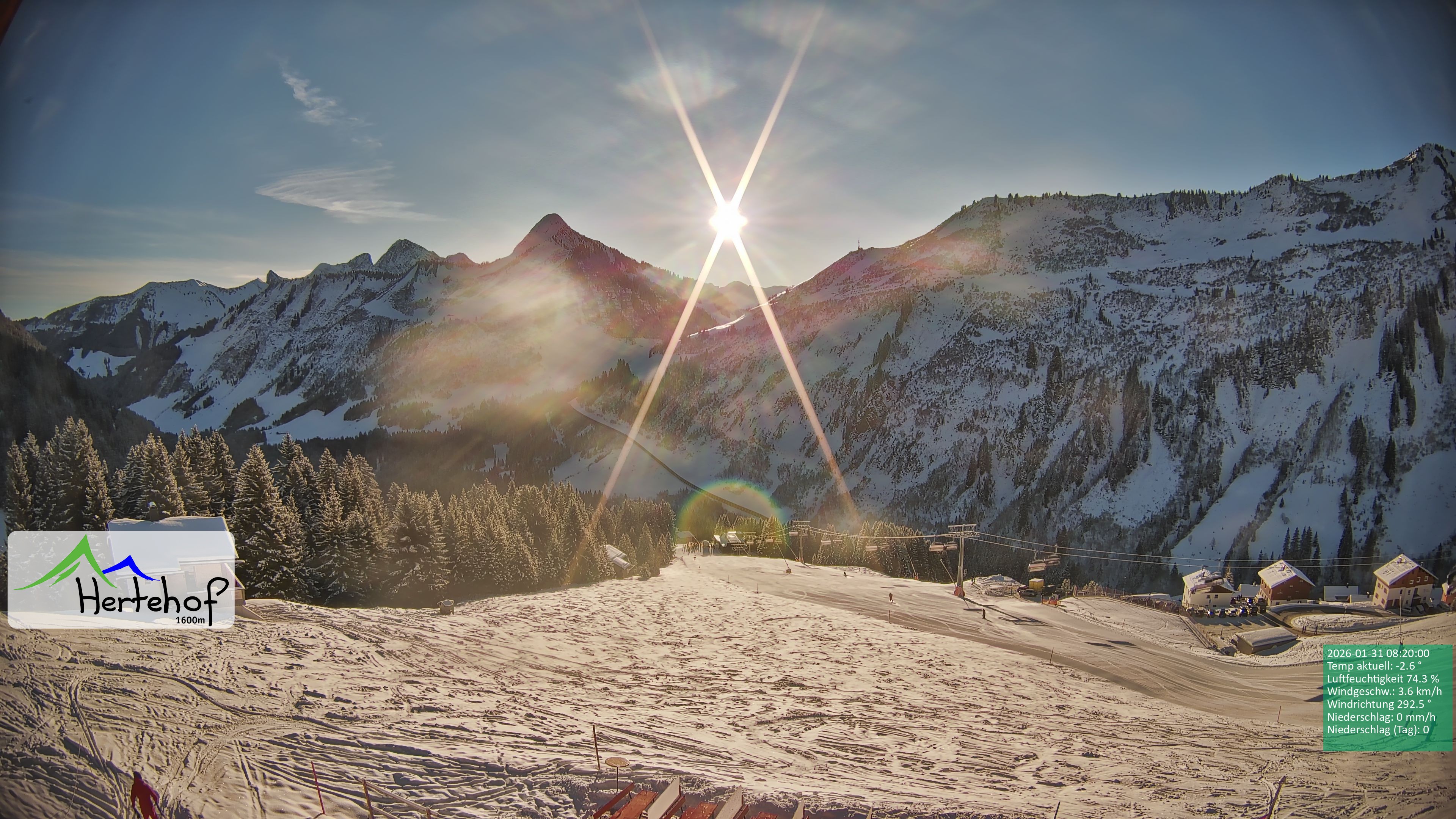 Archiv Foto Webcam Damüls: Blick vom Hertehof