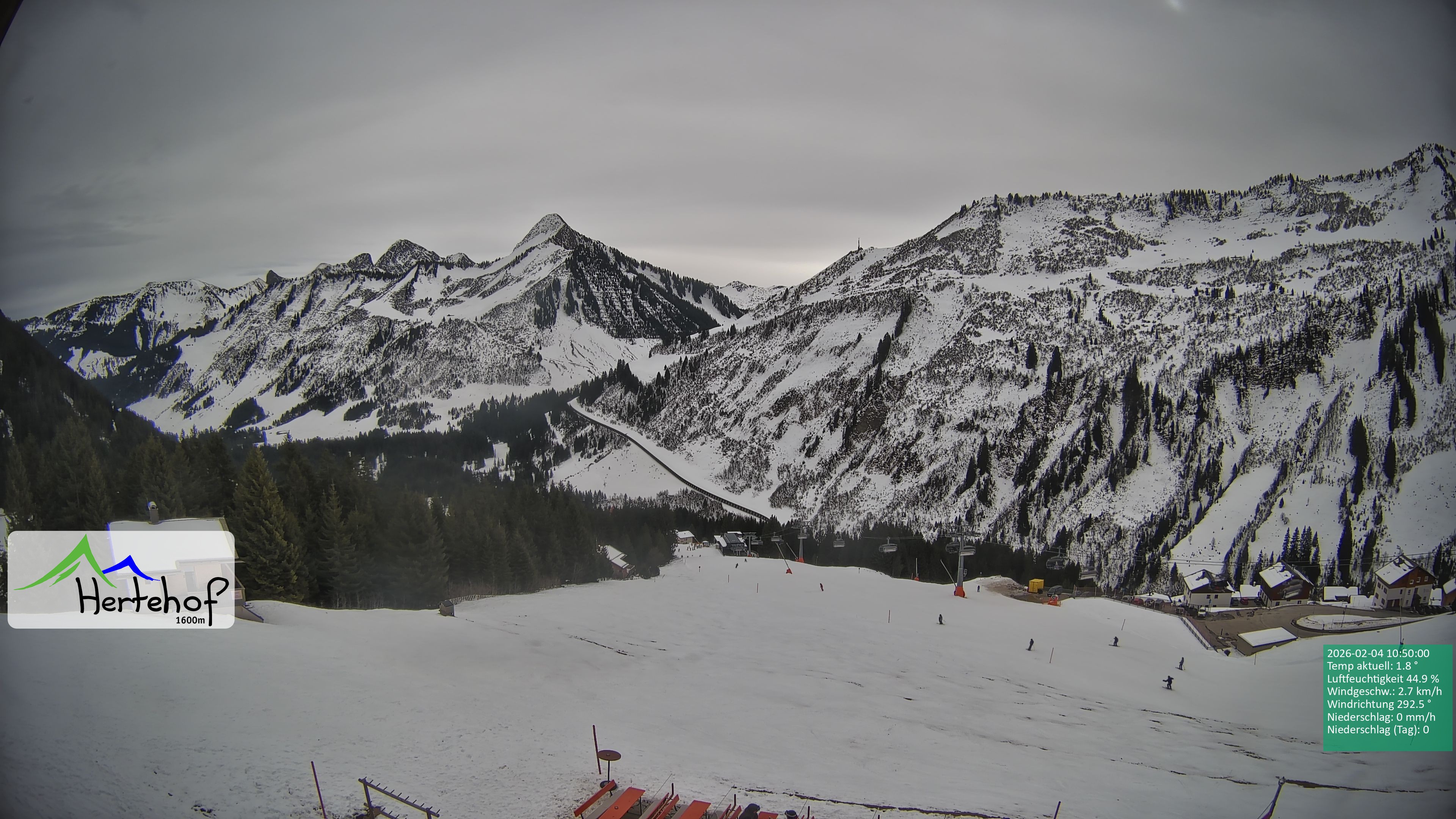 Archived image Webcam Damüls: View from Hertehof