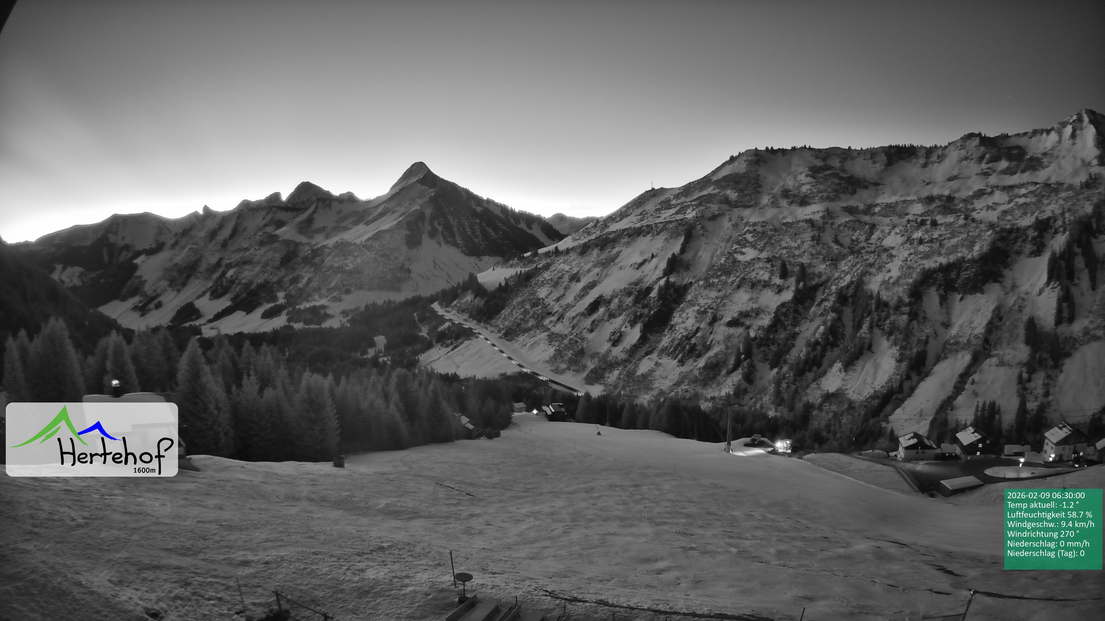Archiv Foto Webcam Damüls: Blick vom Hertehof