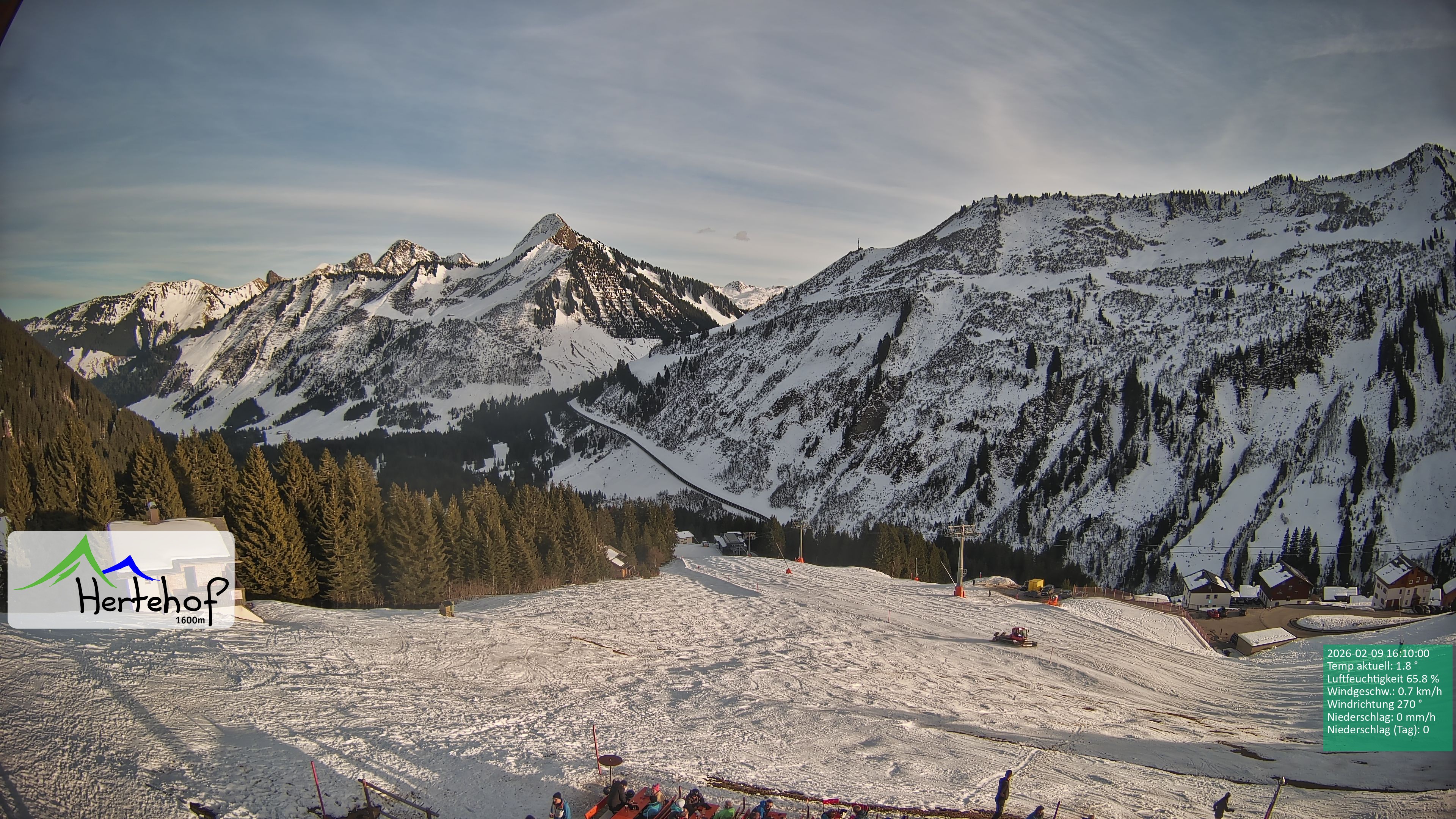 Archiv Foto Webcam Damüls: Blick vom Hertehof