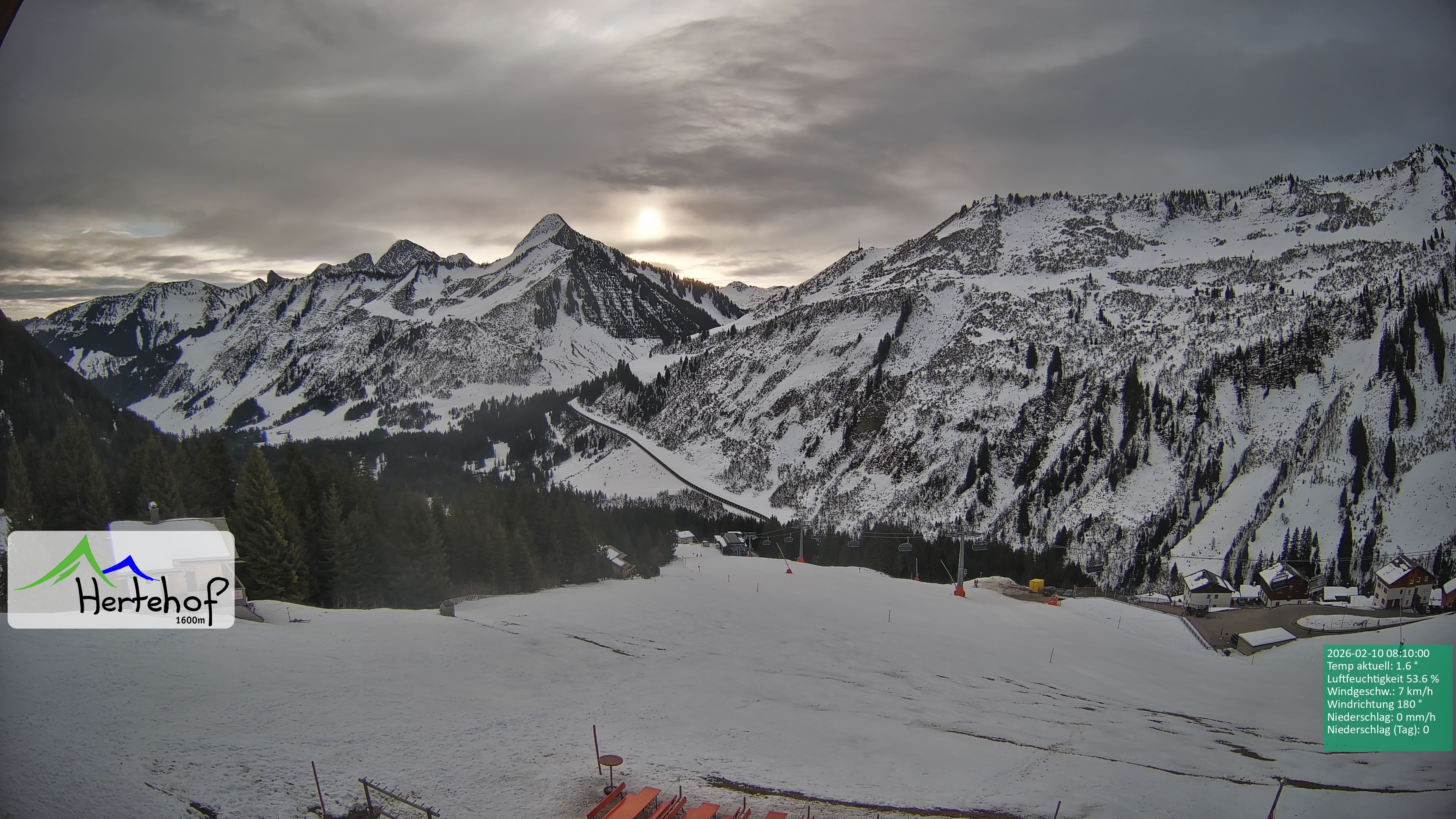 Archiv Foto Webcam Damüls: Blick vom Hertehof