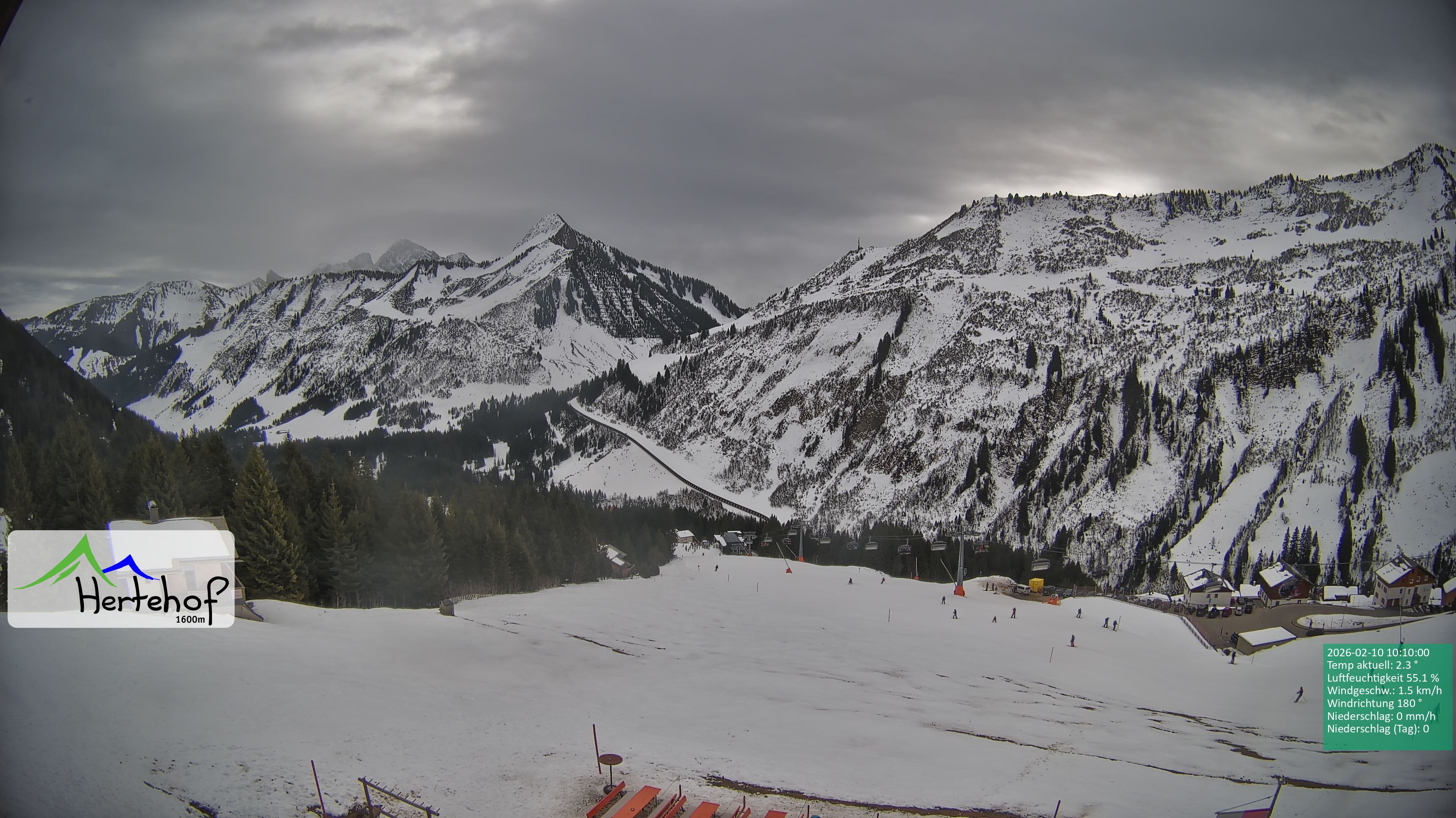 Archiv Foto Webcam Damüls: Blick vom Hertehof