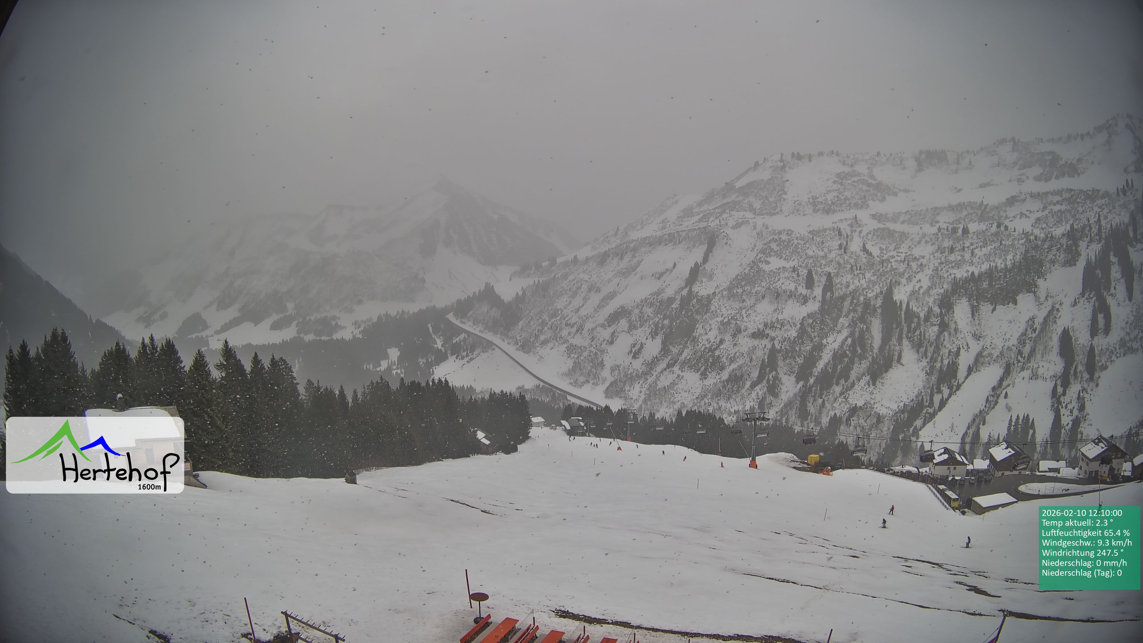 Archiv Foto Webcam Damüls: Blick vom Hertehof