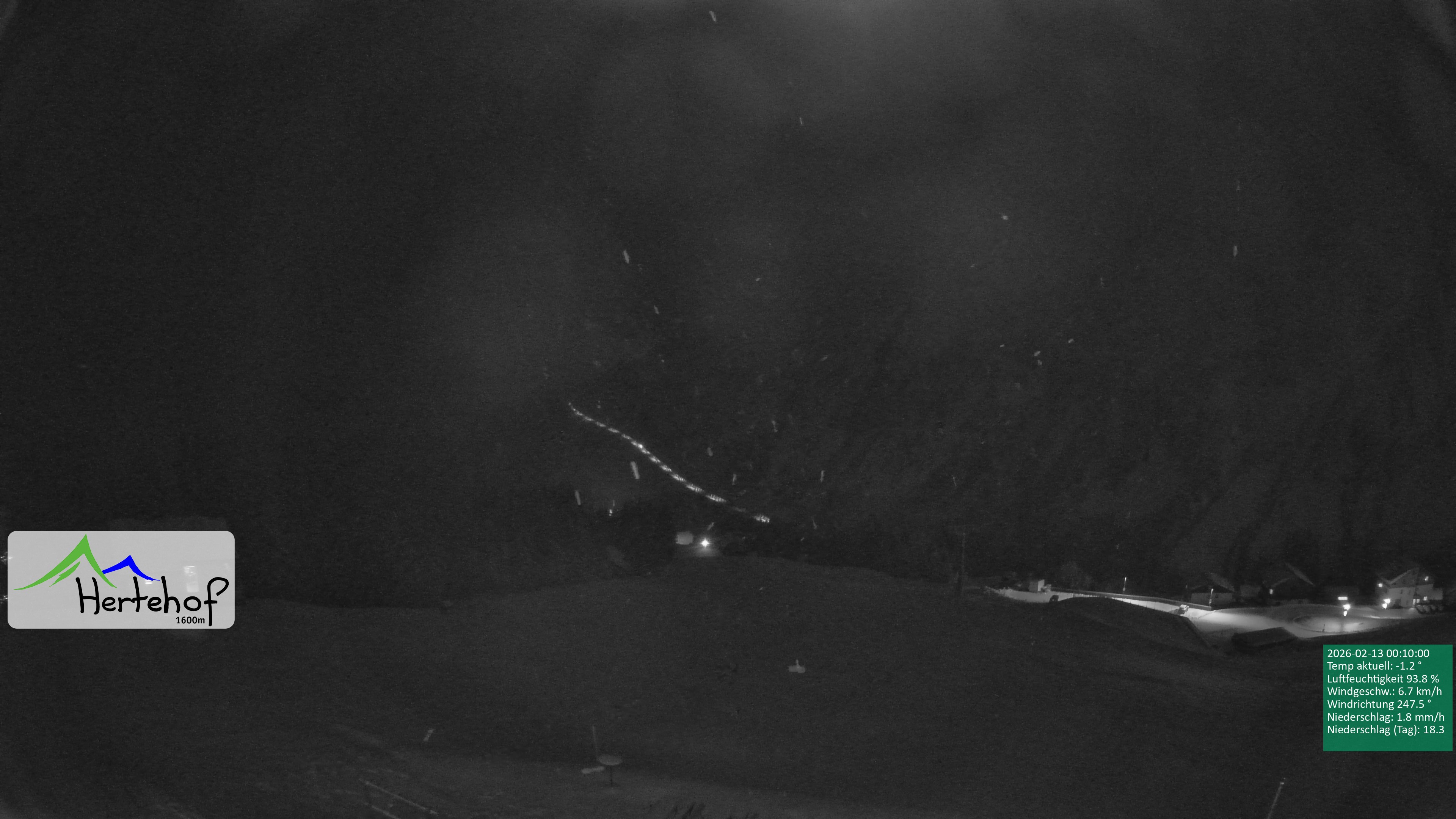 Archiv Foto Webcam Damüls: Blick vom Hertehof