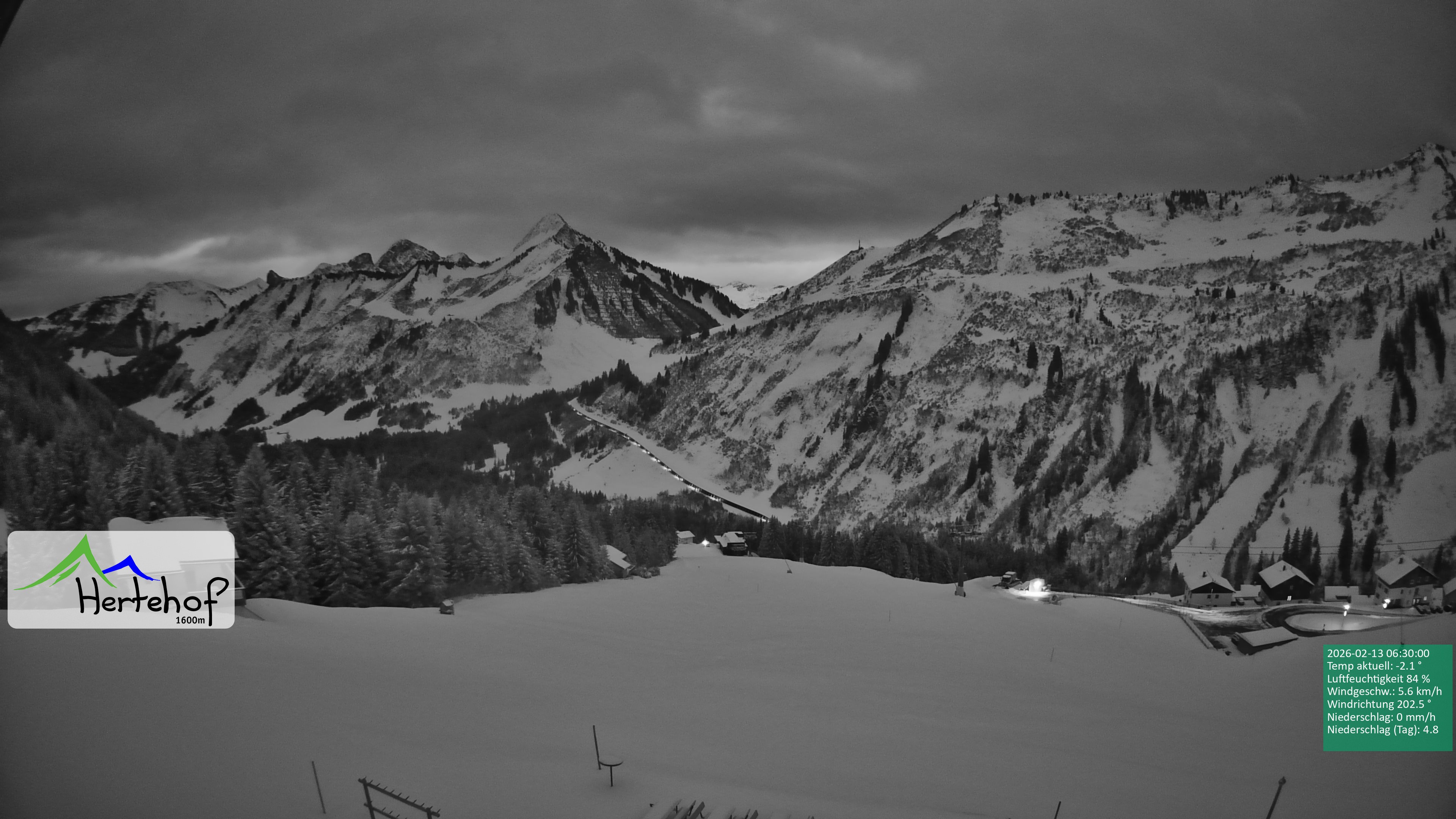 Archiv Foto Webcam Damüls: Blick vom Hertehof