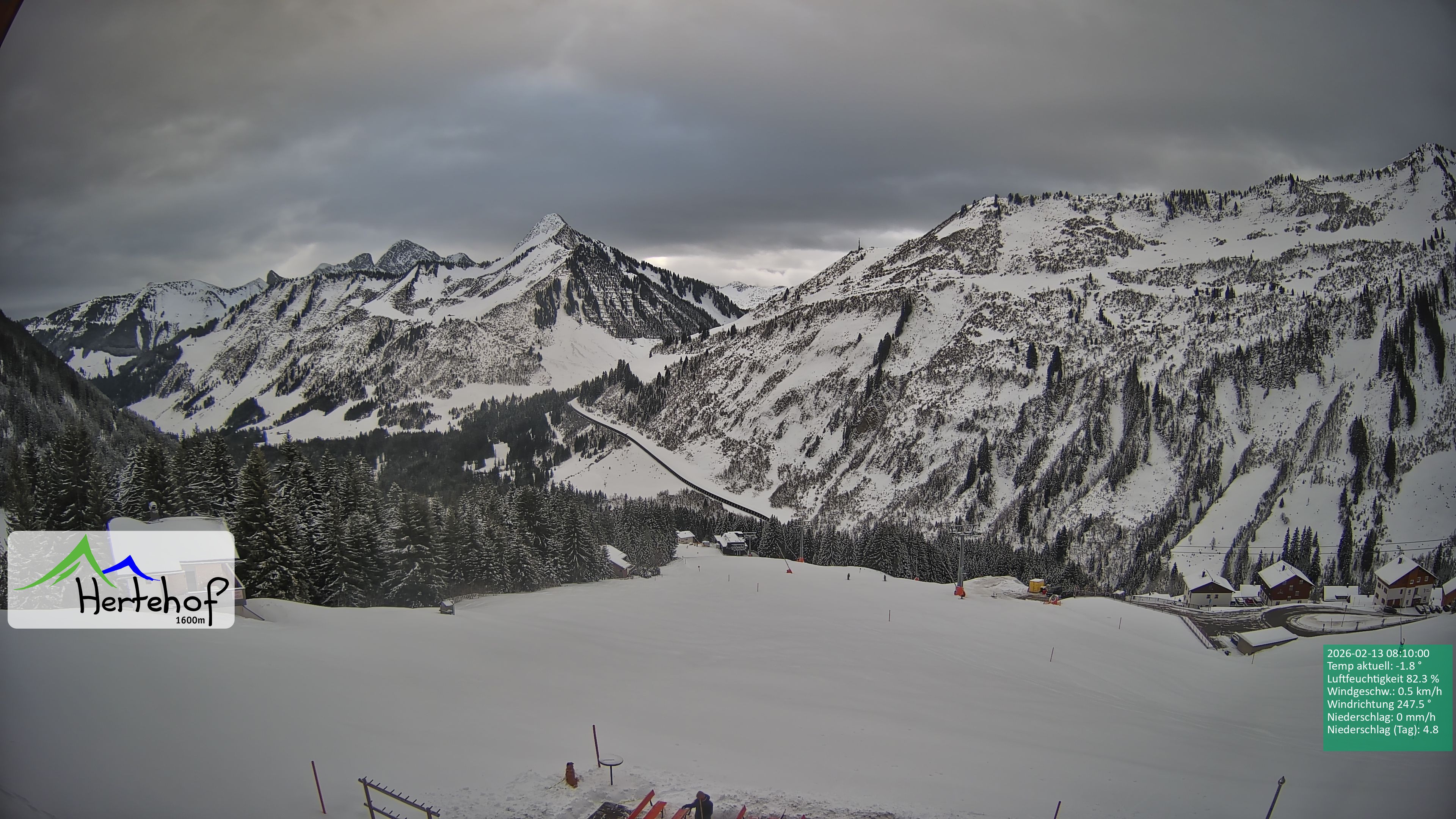 Archiv Foto Webcam Damüls: Blick vom Hertehof