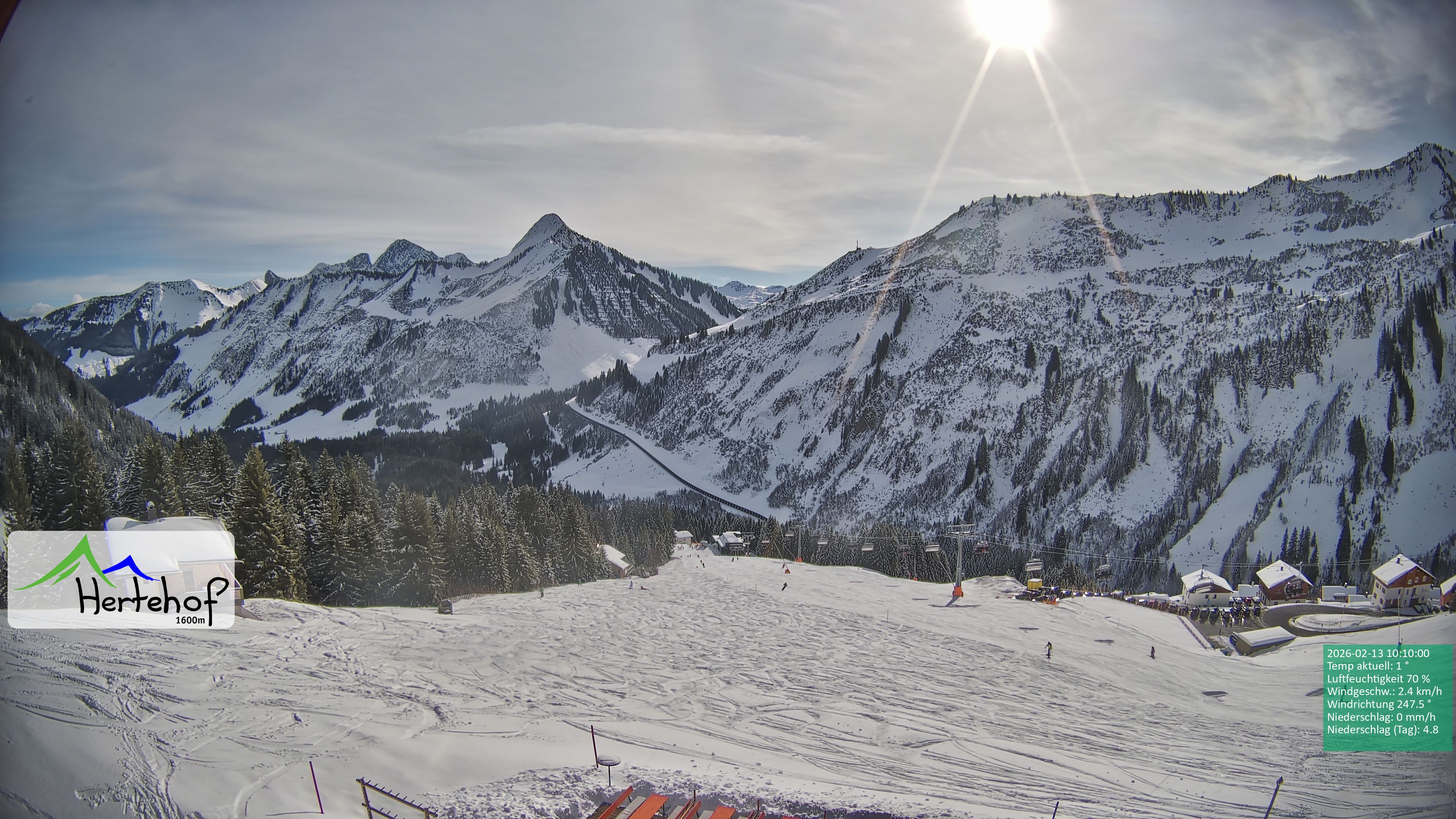 Archiv Foto Webcam Damüls: Blick vom Hertehof