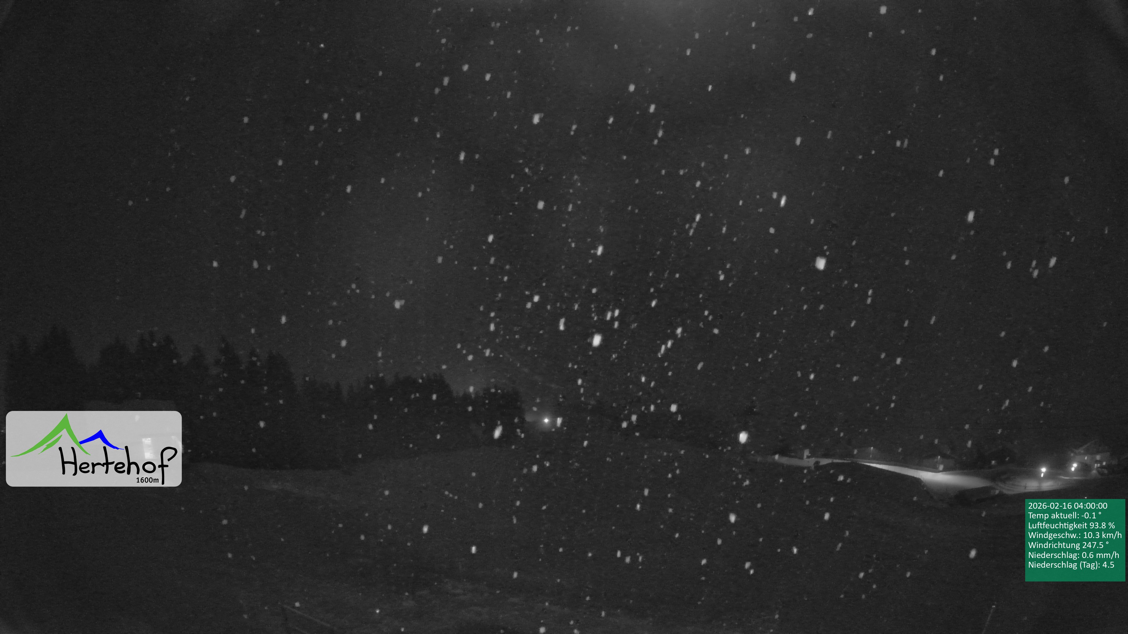 Archiv Foto Webcam Damüls: Blick vom Hertehof