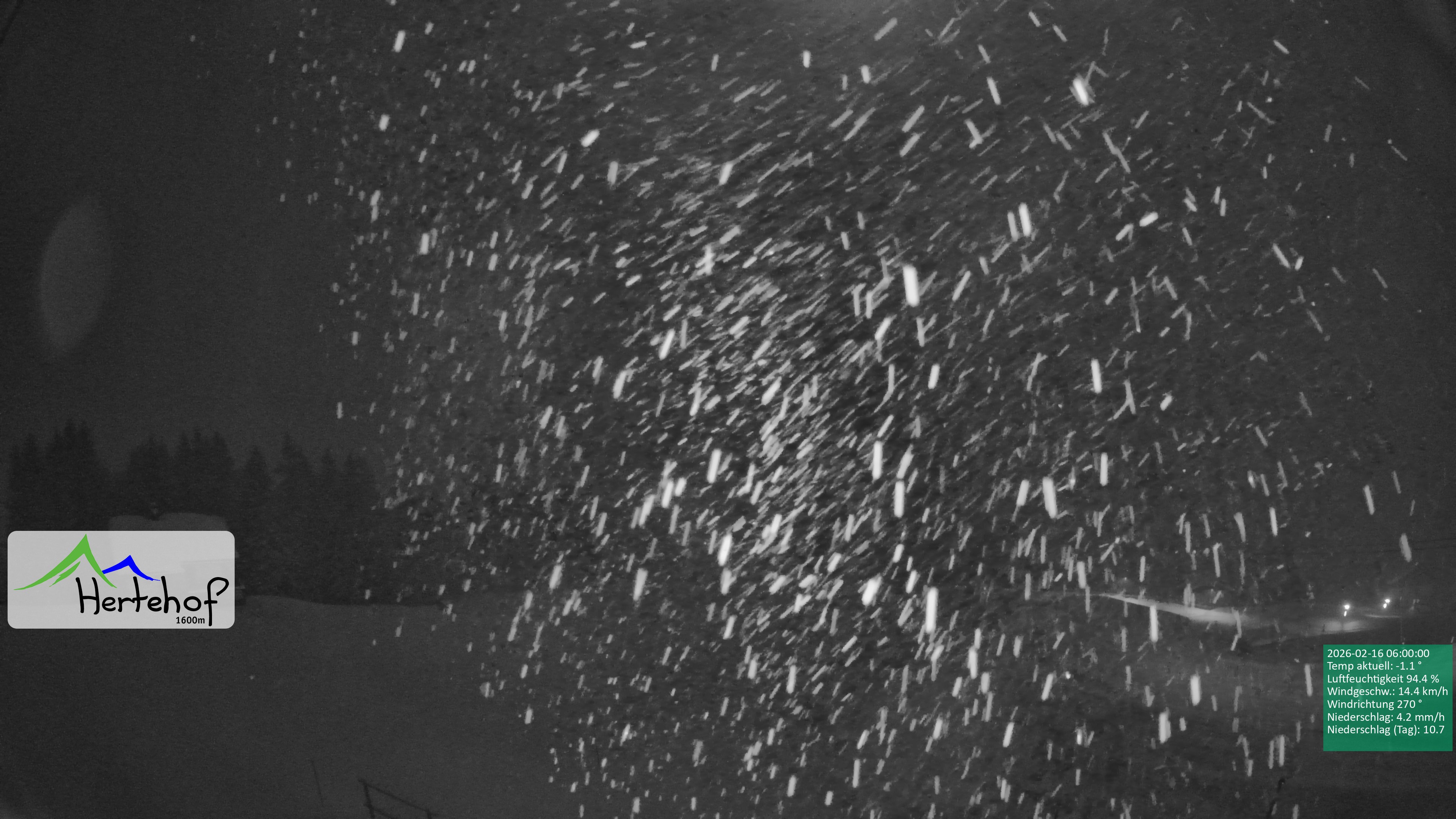 Archiv Foto Webcam Damüls: Blick vom Hertehof