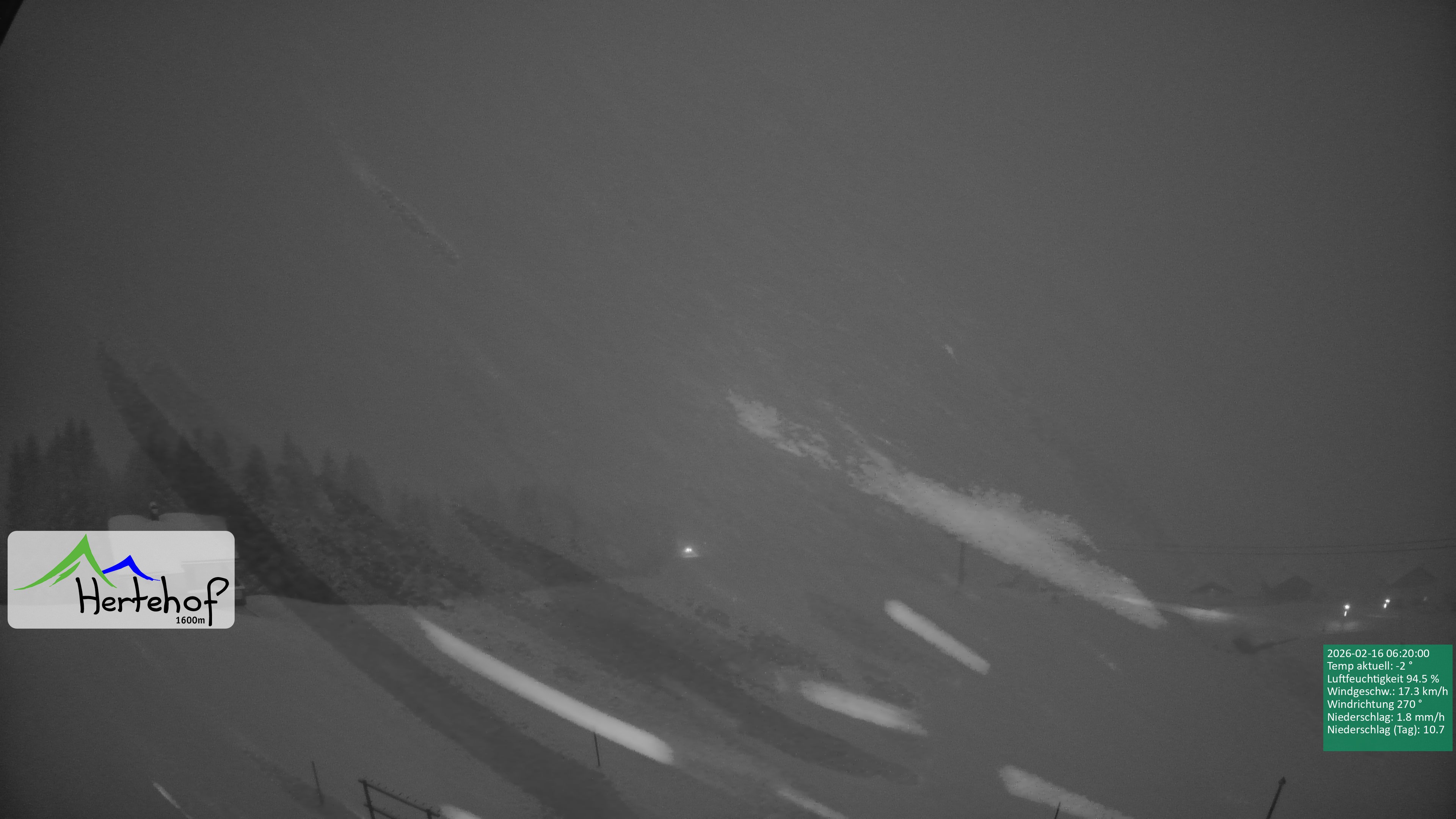 Archiv Foto Webcam Damüls: Blick vom Hertehof