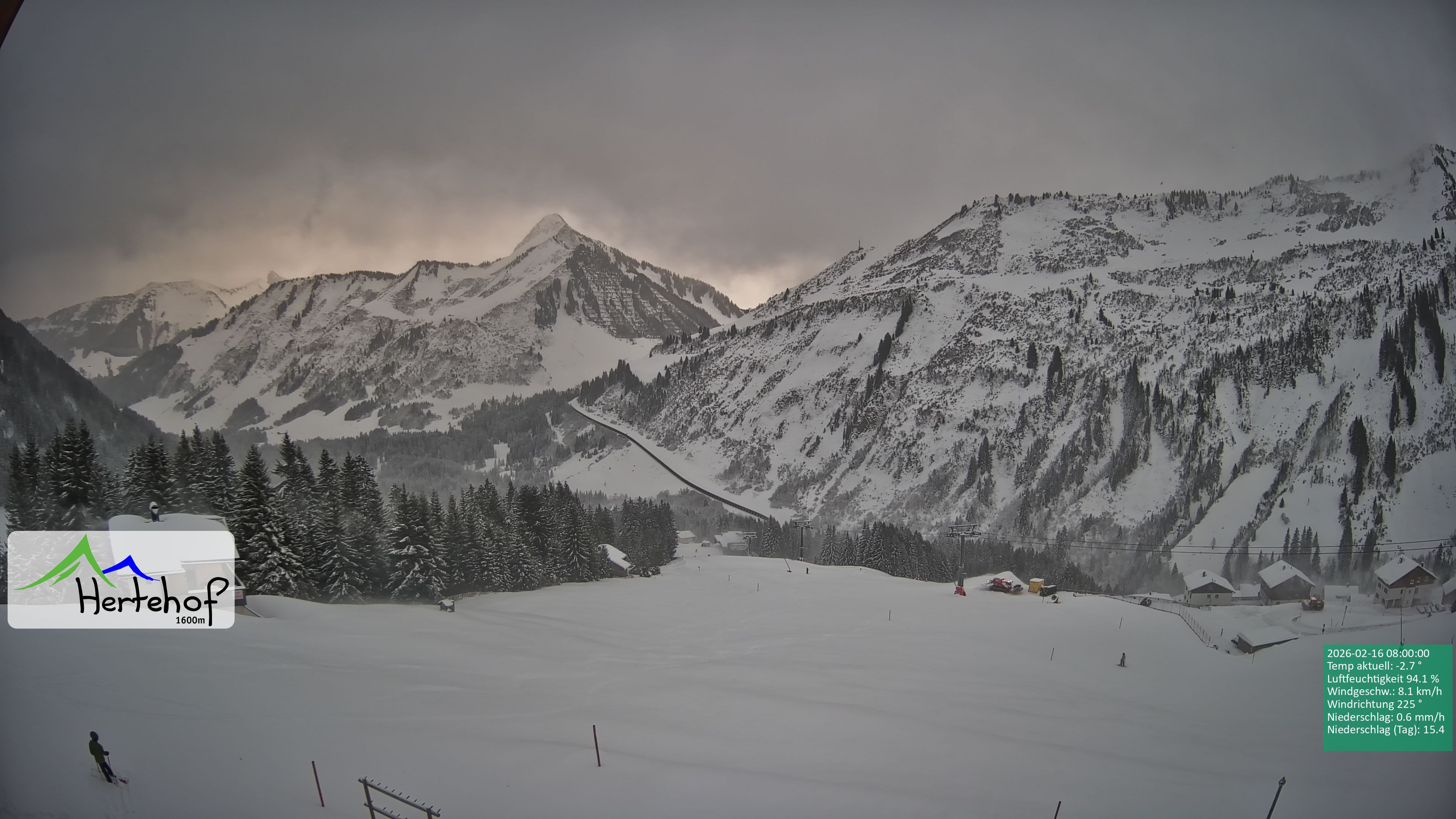 Archiv Foto Webcam Damüls: Blick vom Hertehof