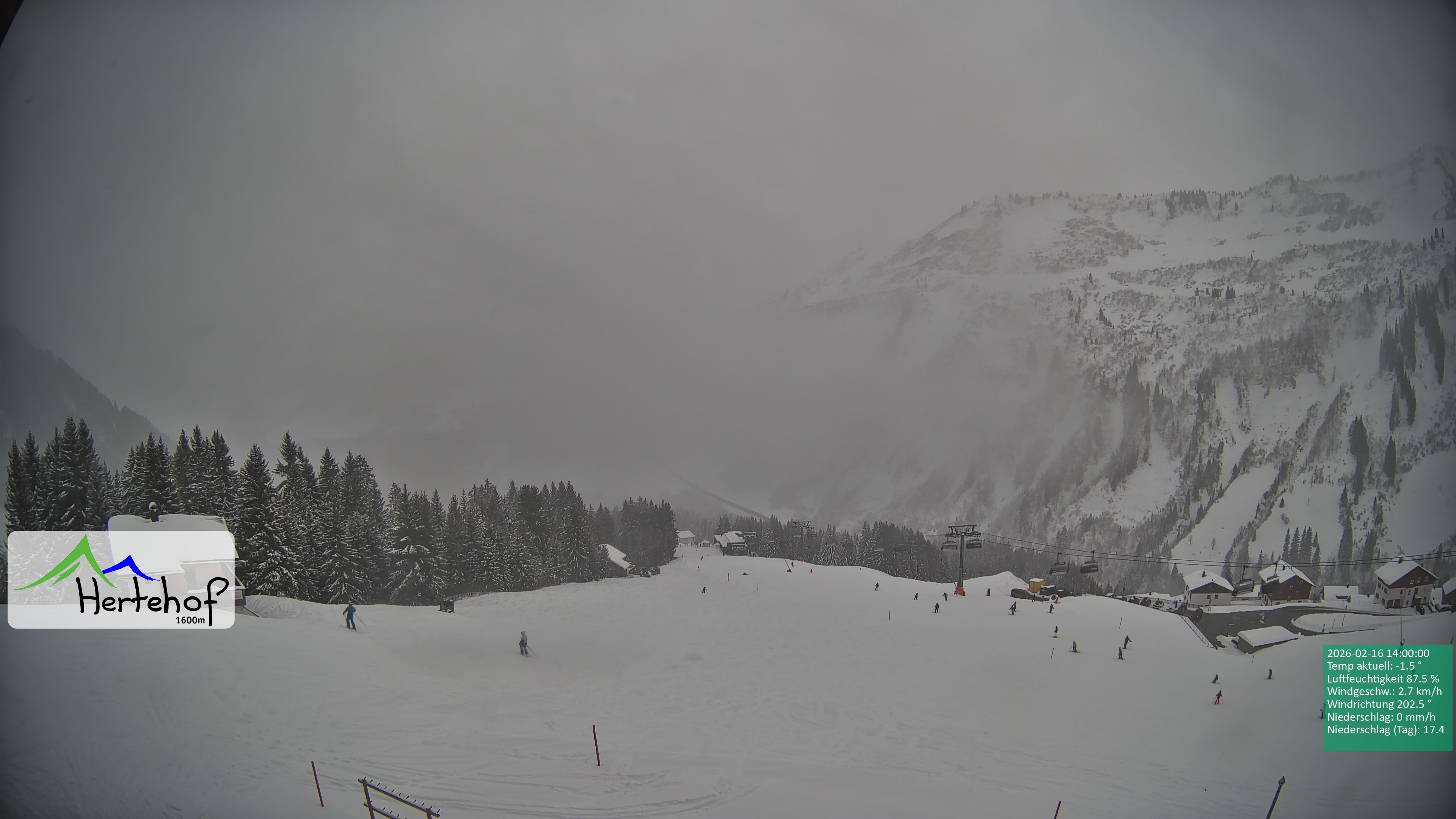 Archiv Foto Webcam Damüls: Blick vom Hertehof